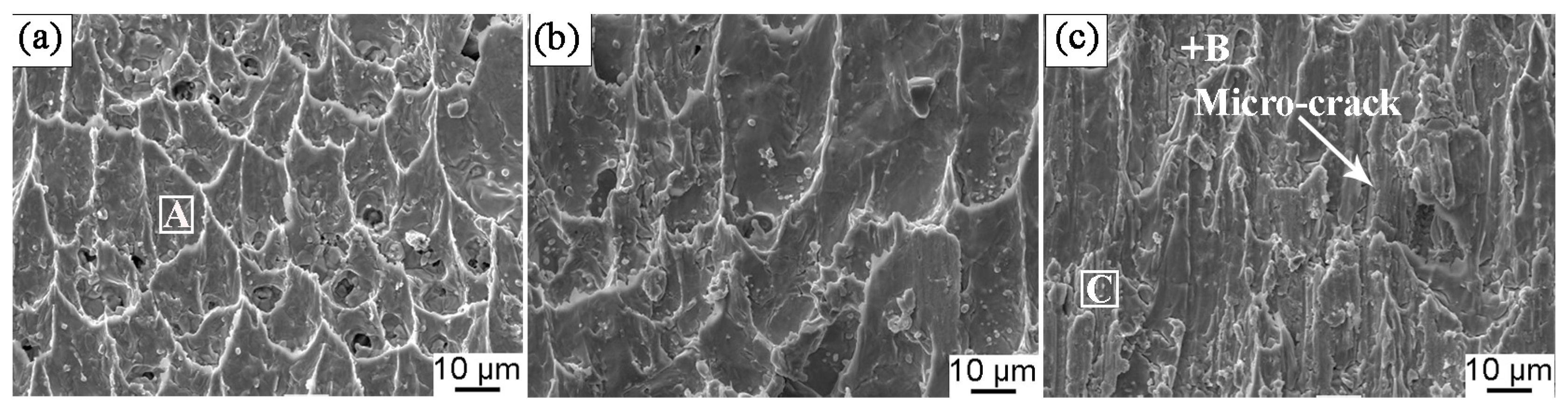 Materials 13 00831 g013 Materials 13 00831 g013