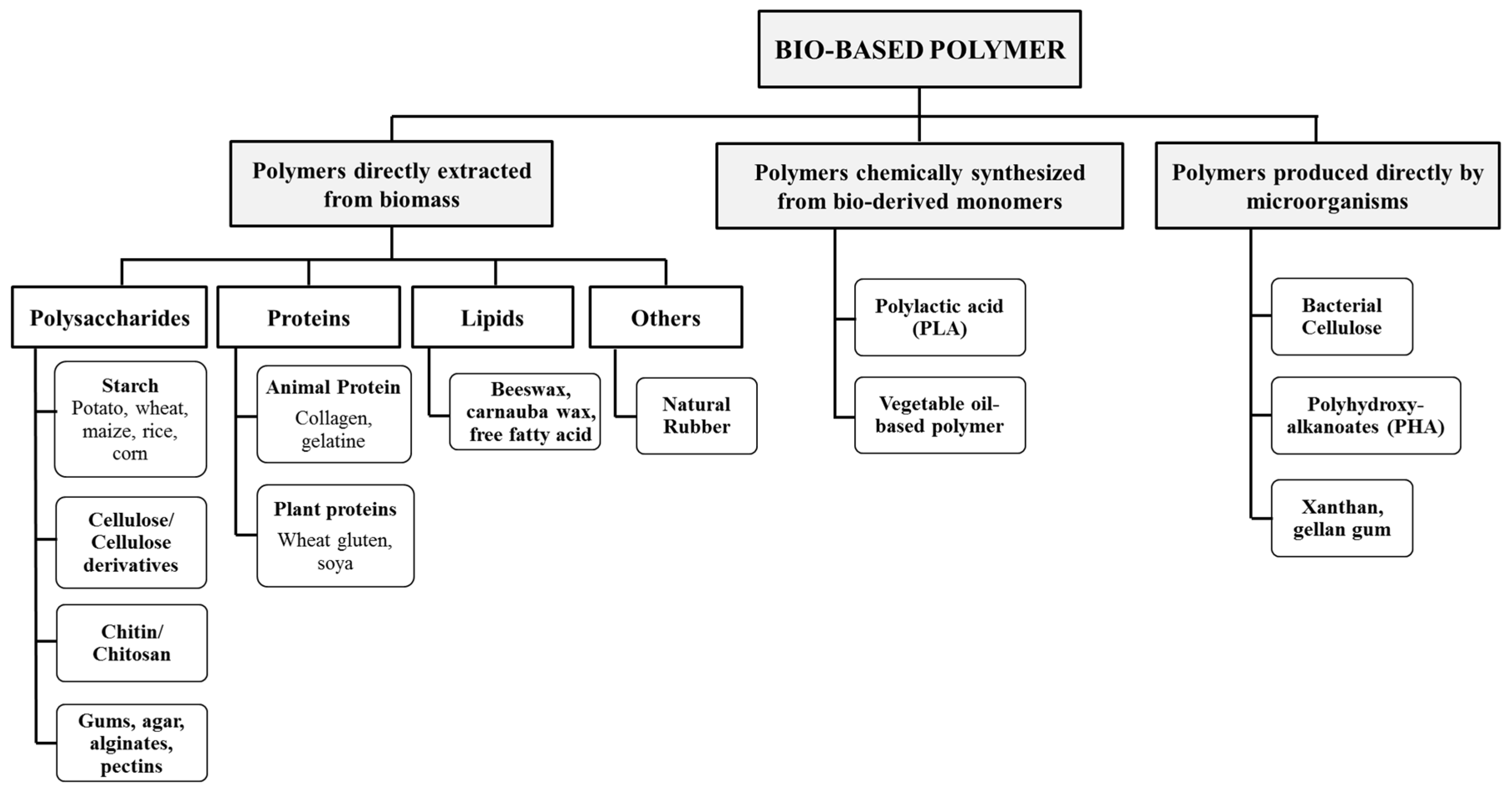 Materials 13 00838 g001 Materials 13 00838 g001