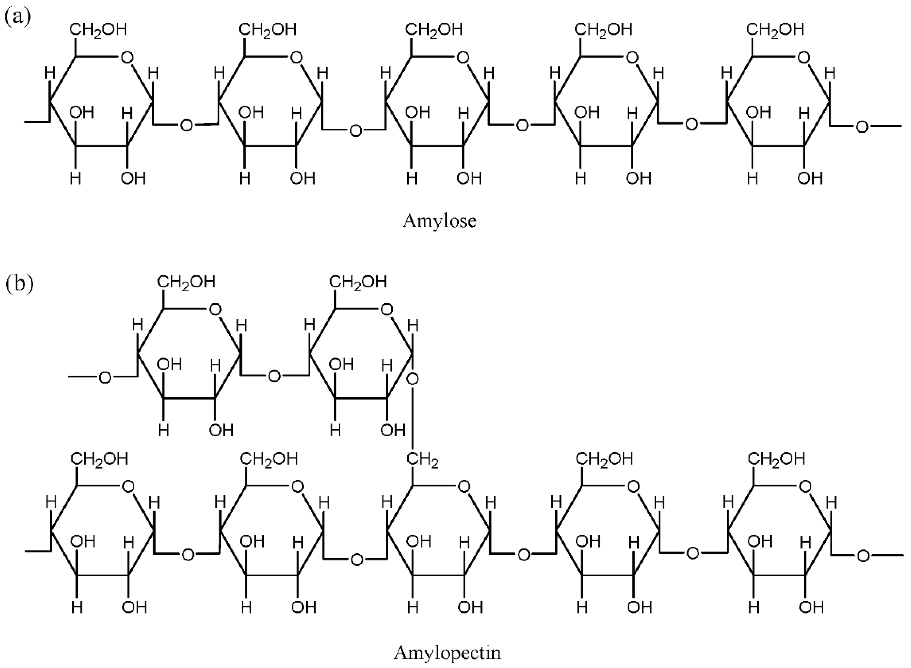 Materials 13 00838 g004 Materials 13 00838 g004