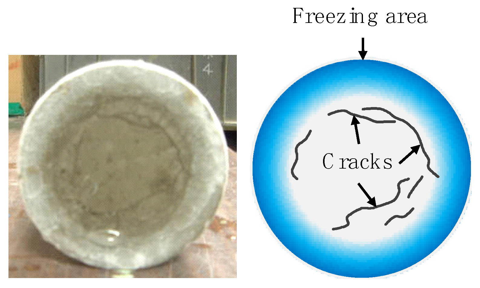 Materials 13 00843 g006