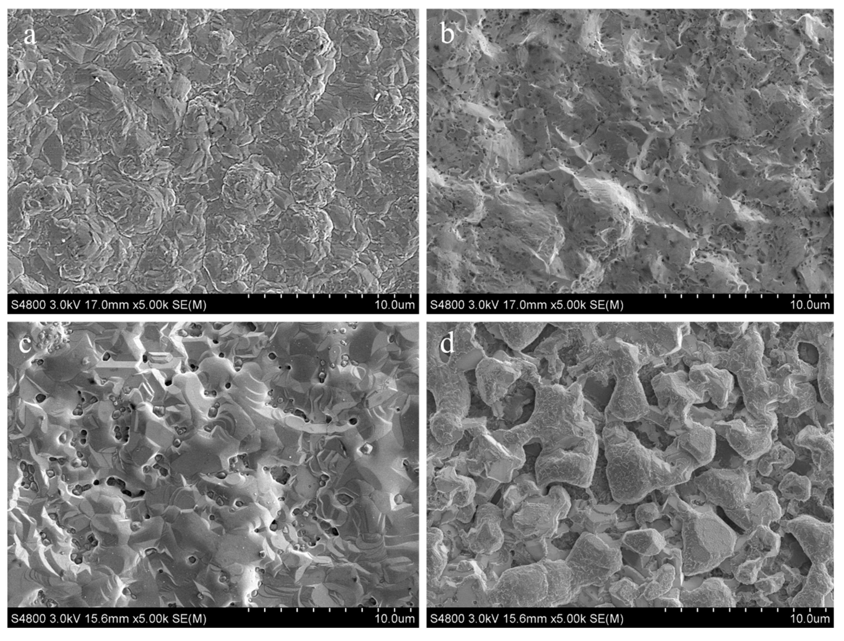 Materials 13 00847 g005