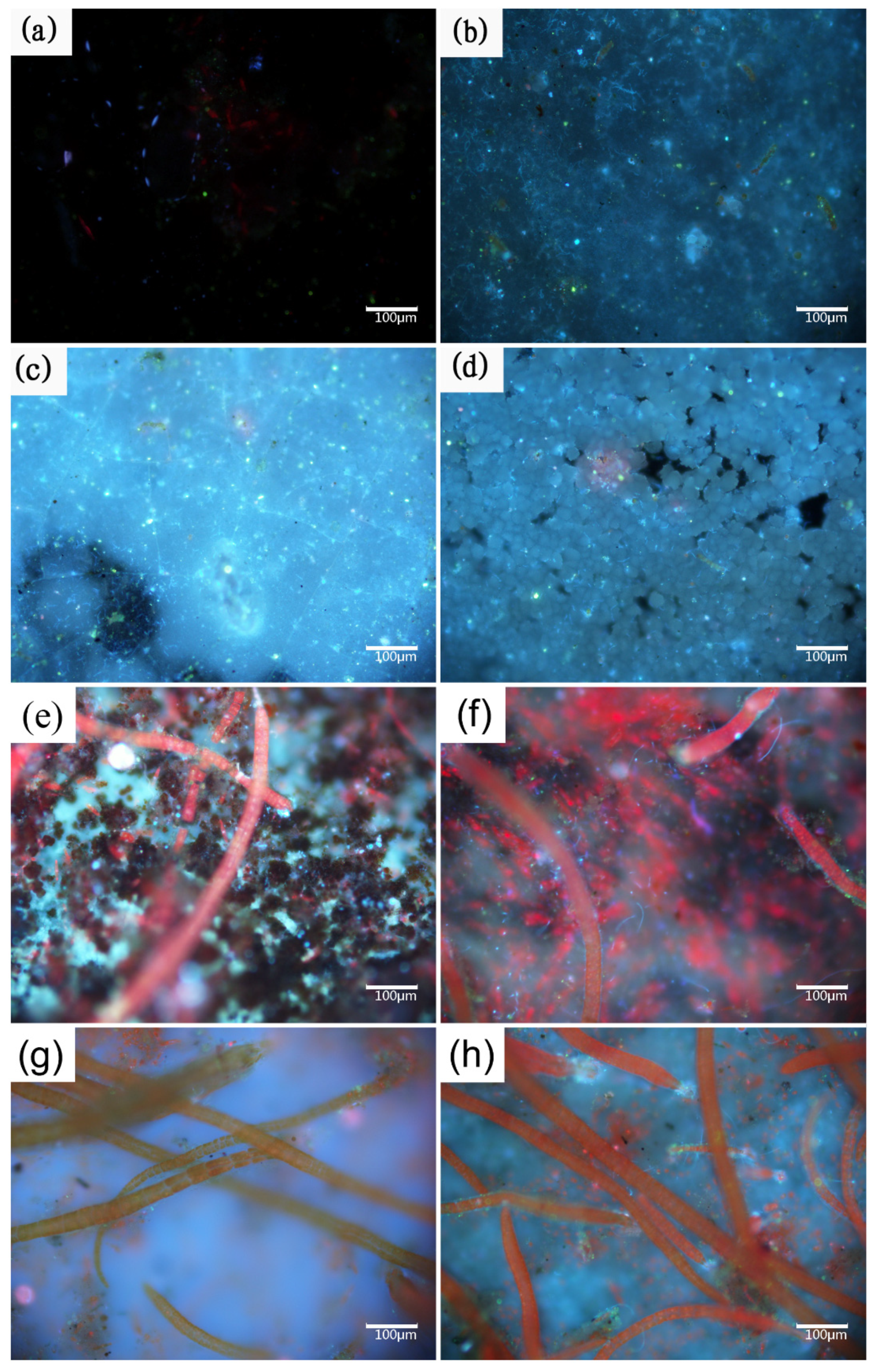 Materials 13 00850 g003