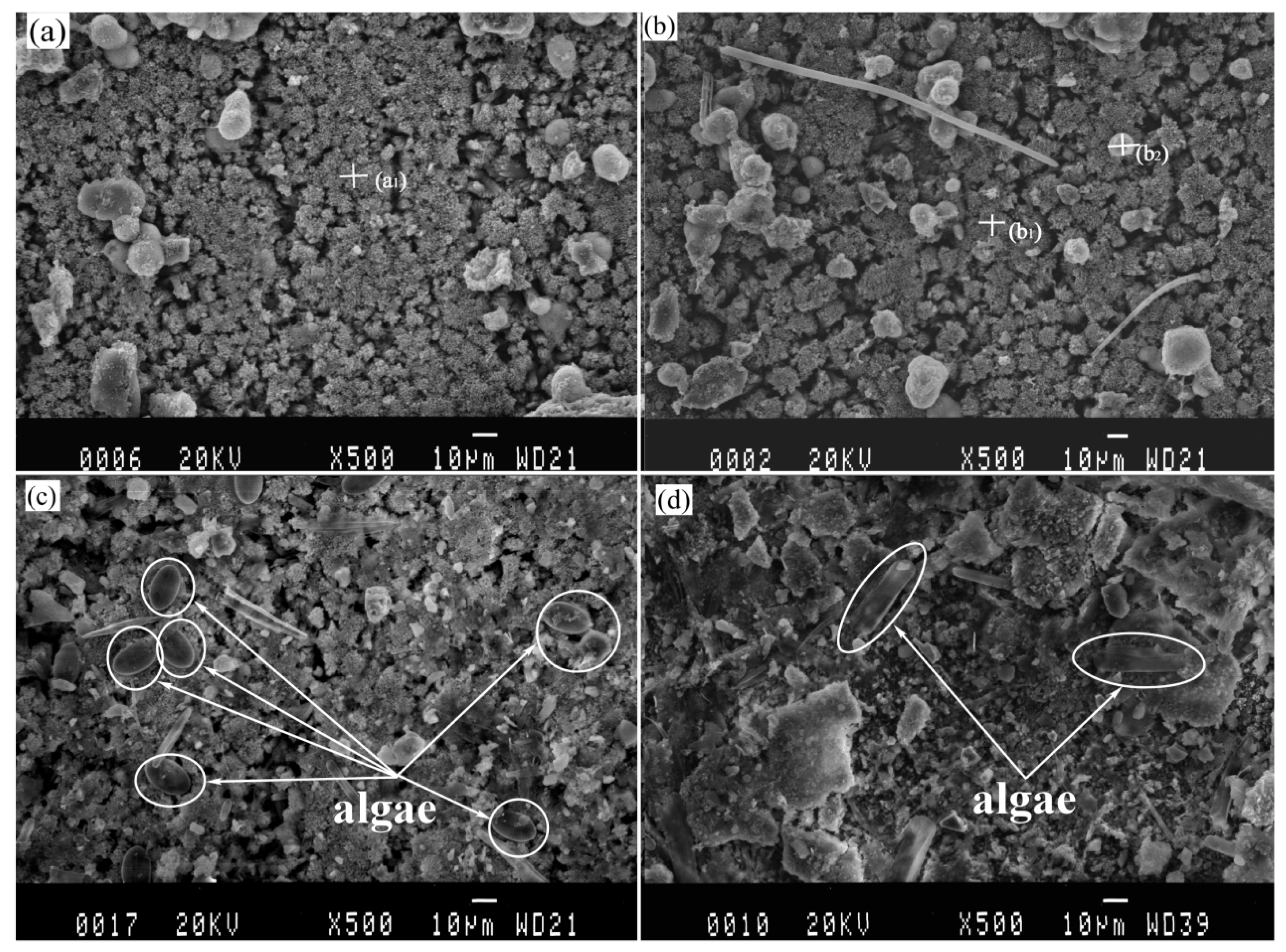 Materials 13 00850 g004