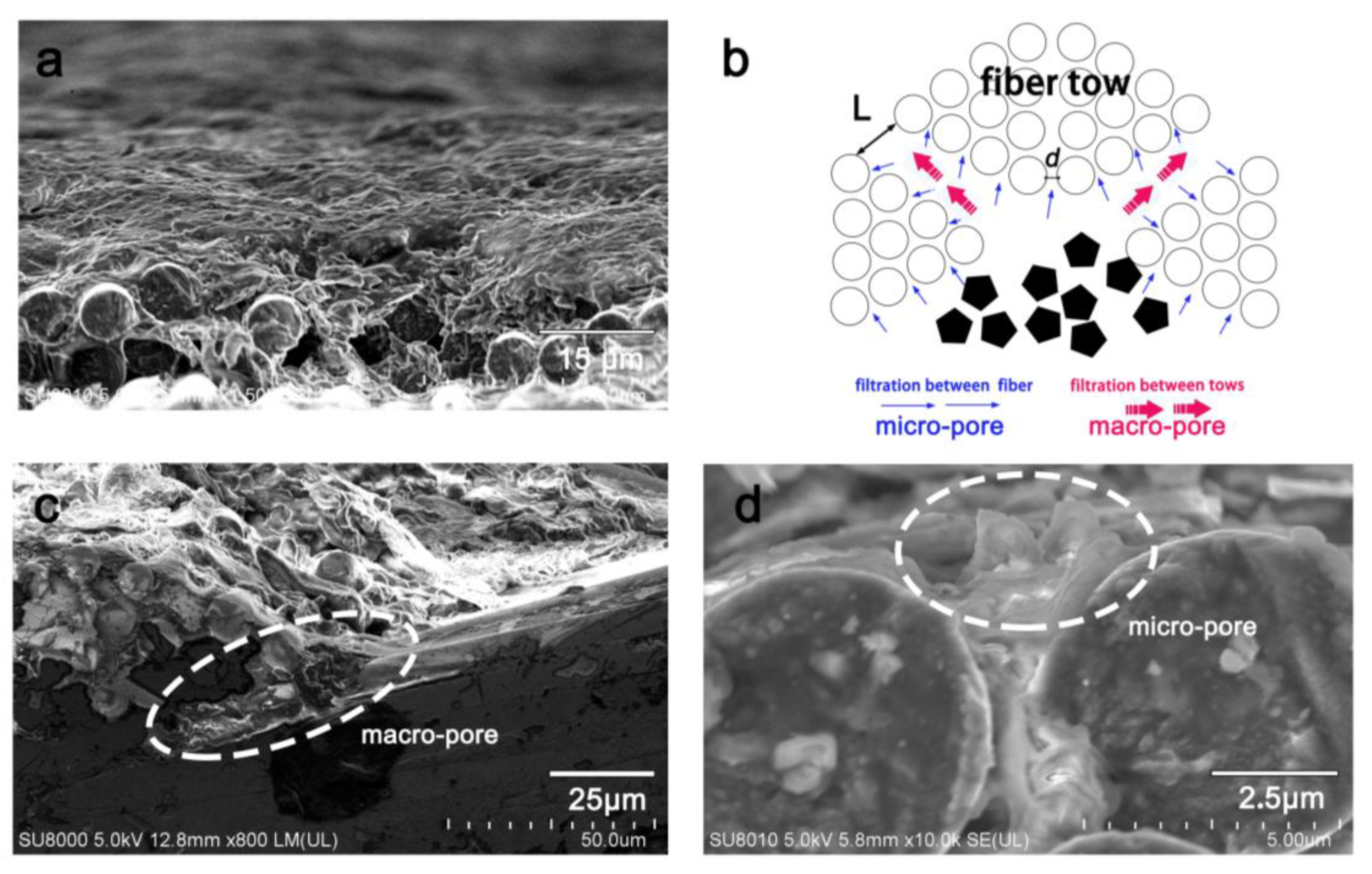 Materials 13 00851 g004