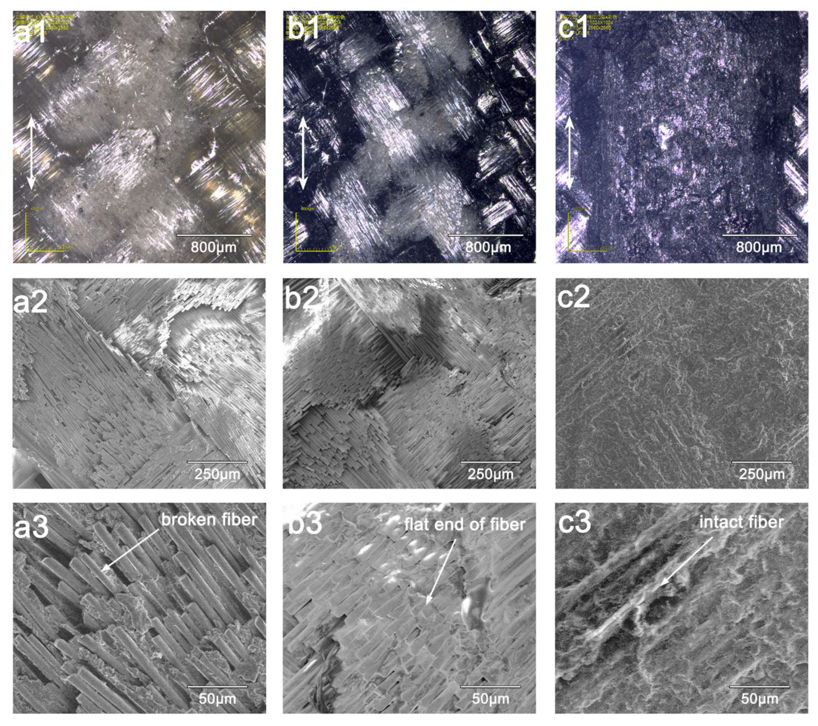 Materials 13 00851 g007