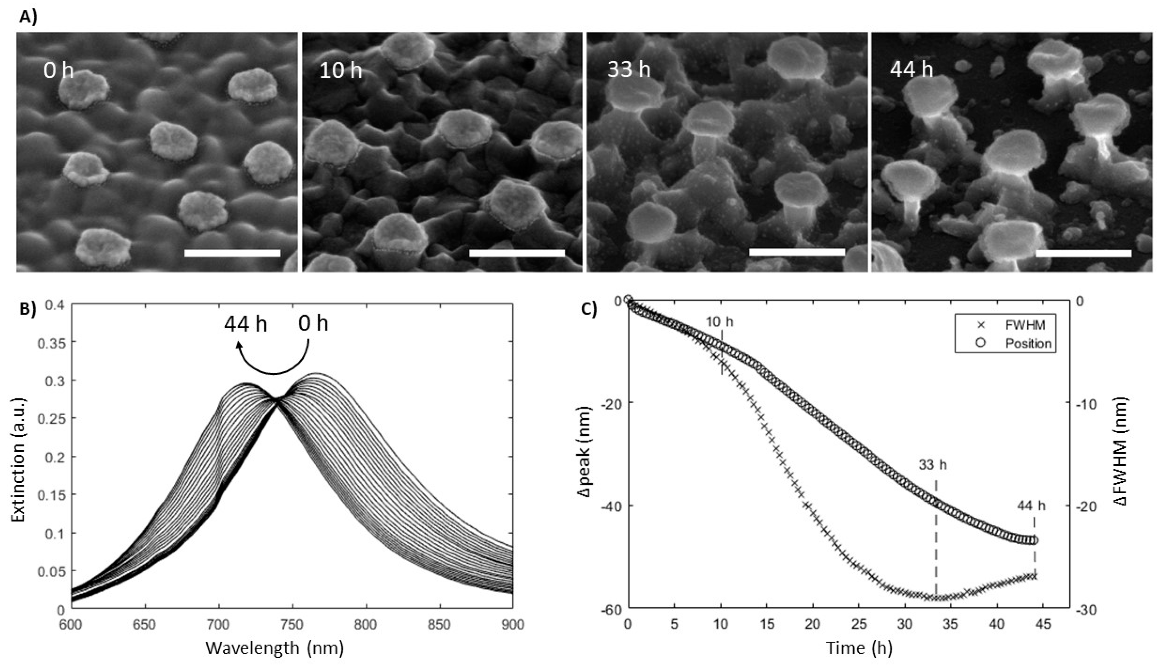 Materials 13 00853 g002