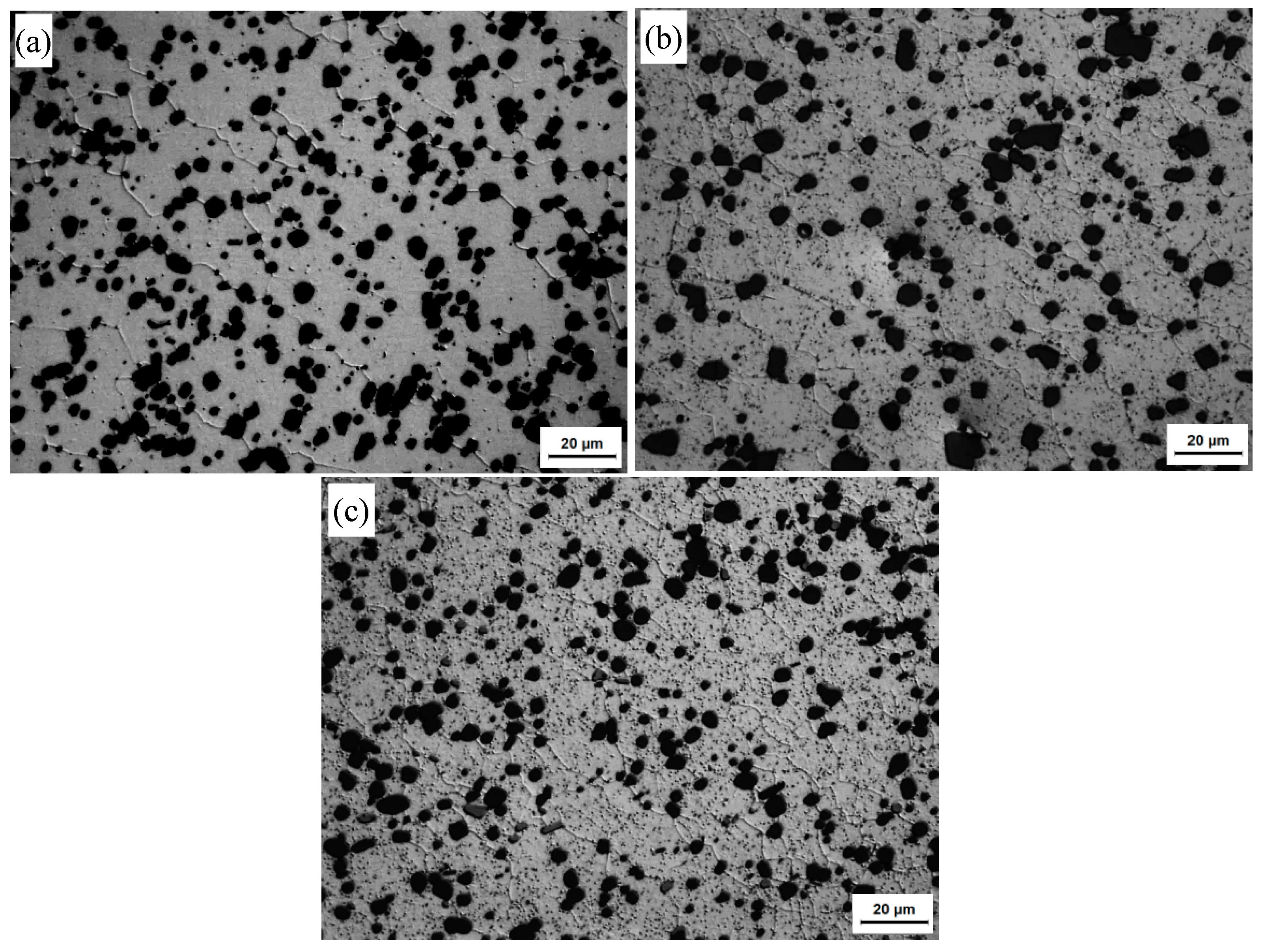 Materials 13 00861 g010