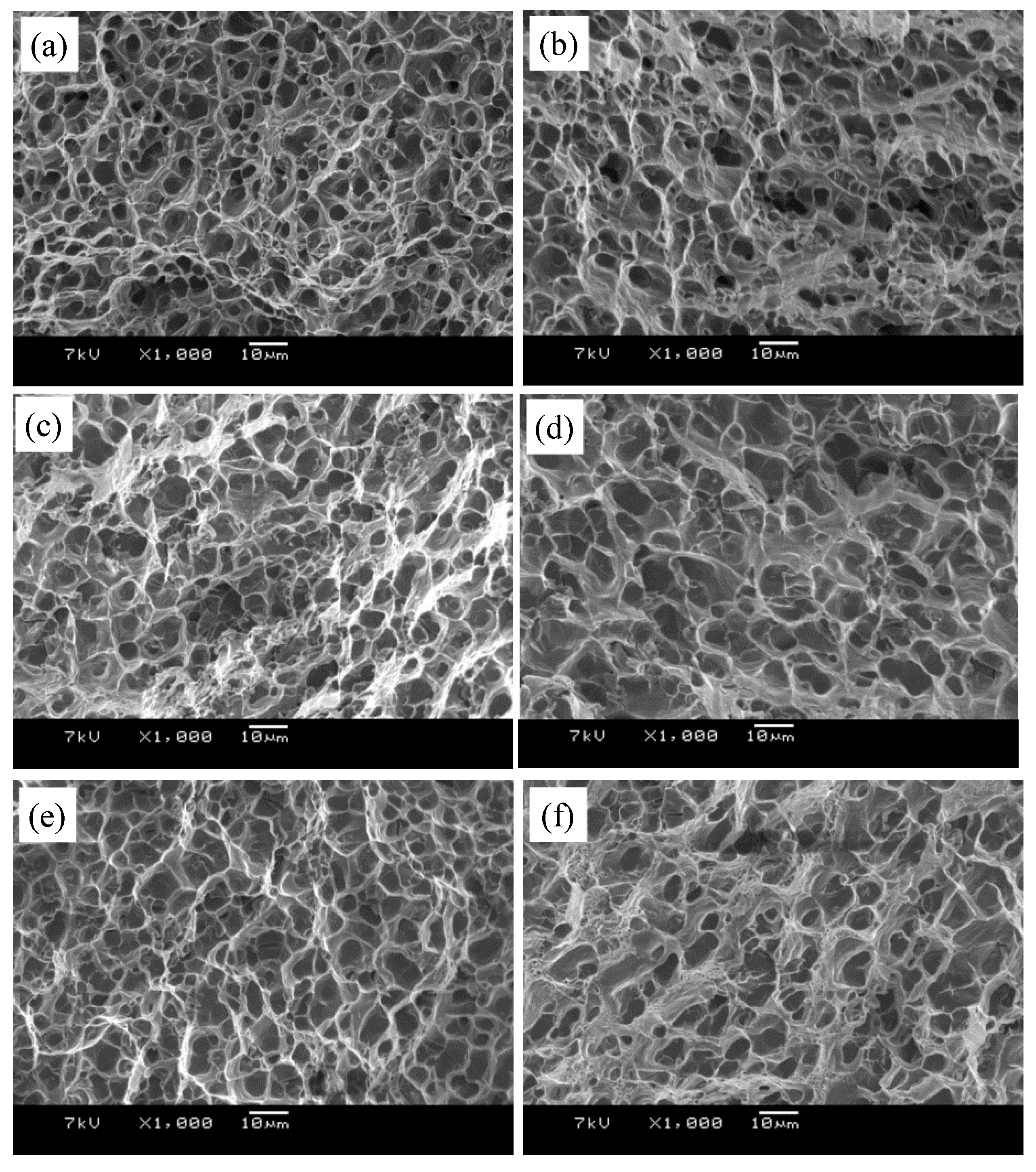 Materials 13 00861 g013