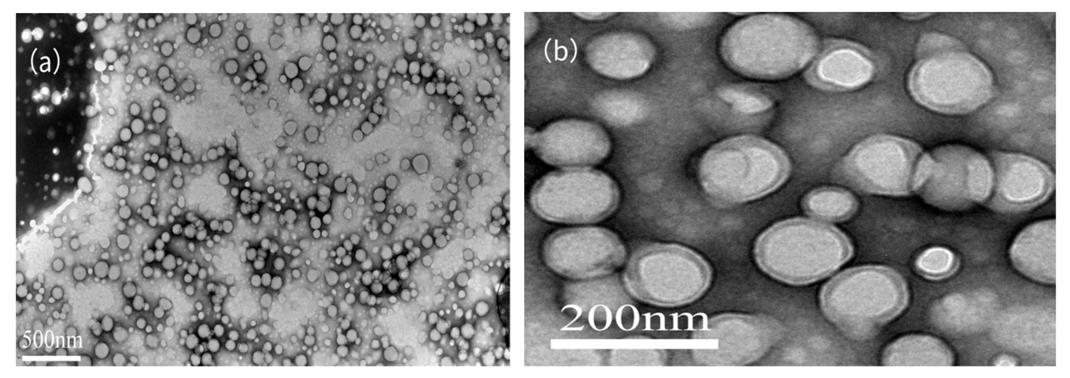 Materials 13 00865 g008