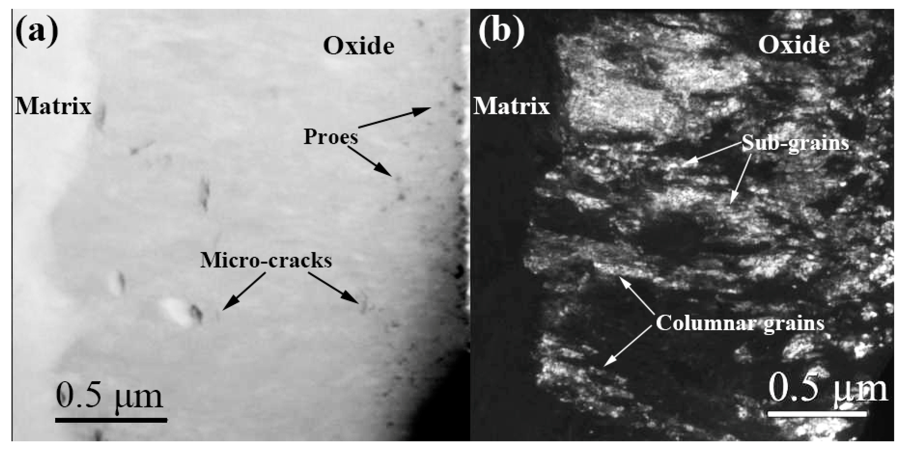 Materials 13 00873 g002