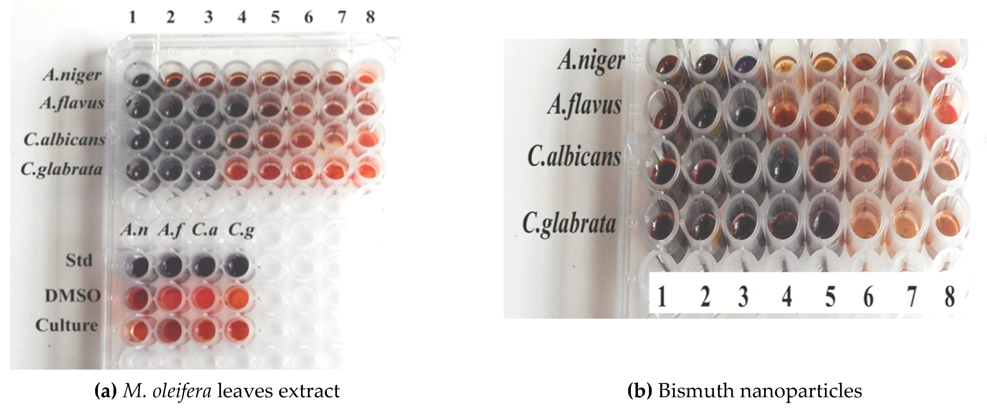 Materials 13 00876 g010