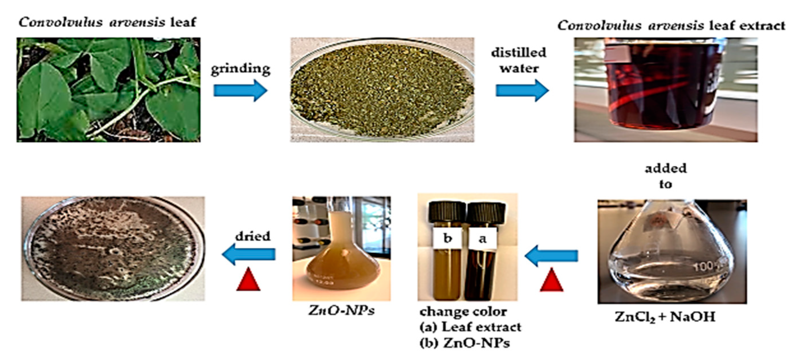 Materials 13 00890 g001 Materials 13 00890 g001