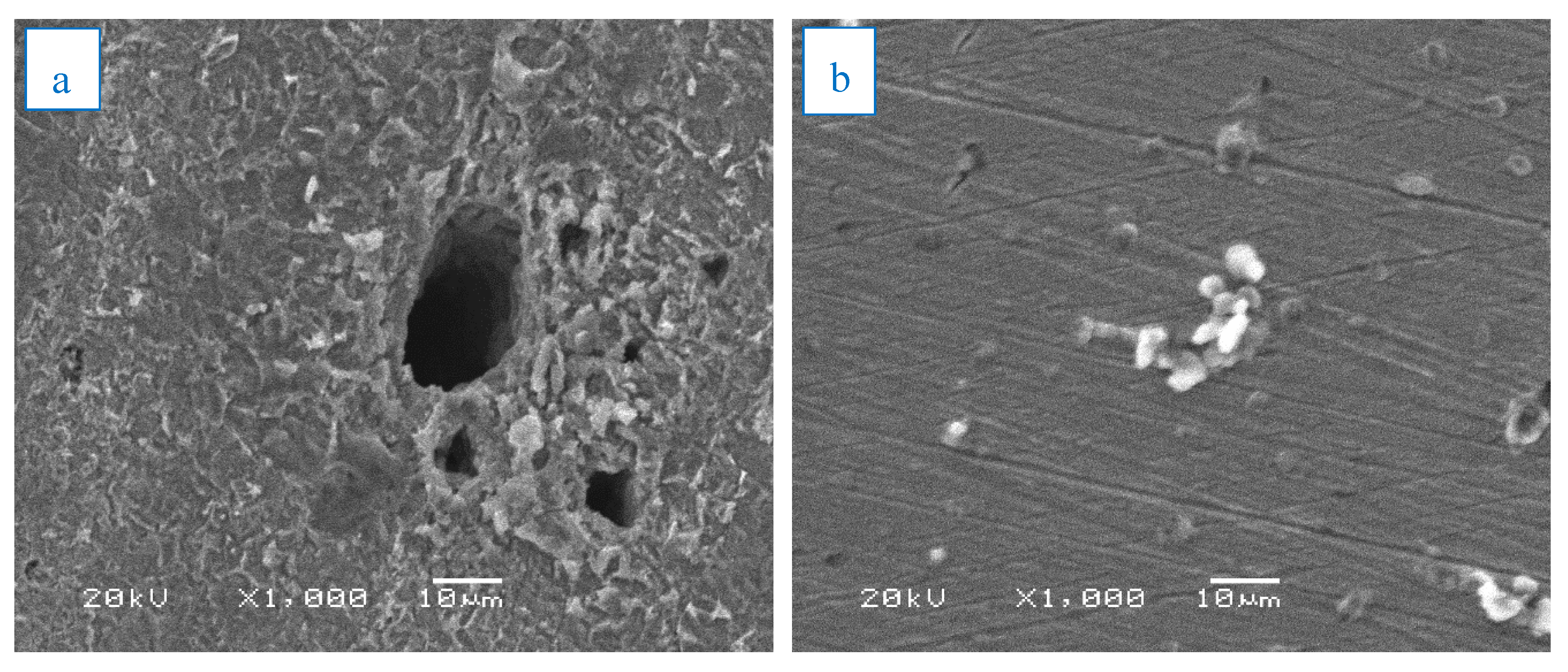 Materials 13 00890 g009a Materials 13 00890 g009a