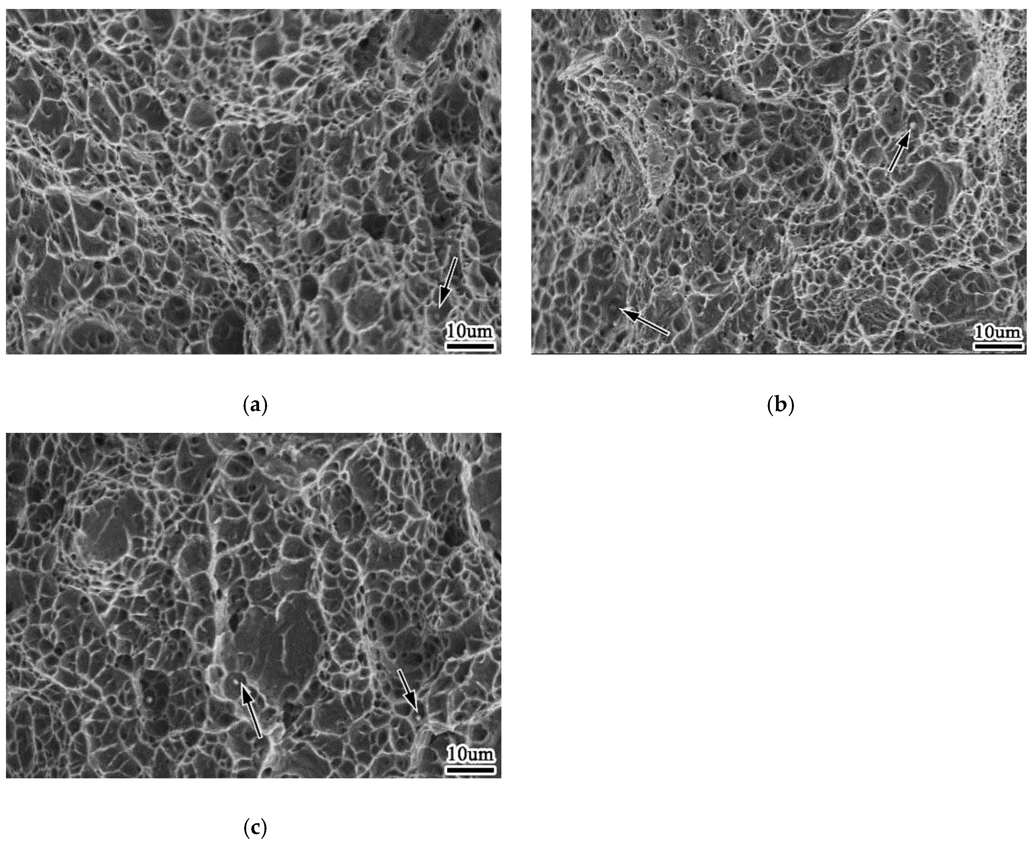 Materials 13 00892 g012