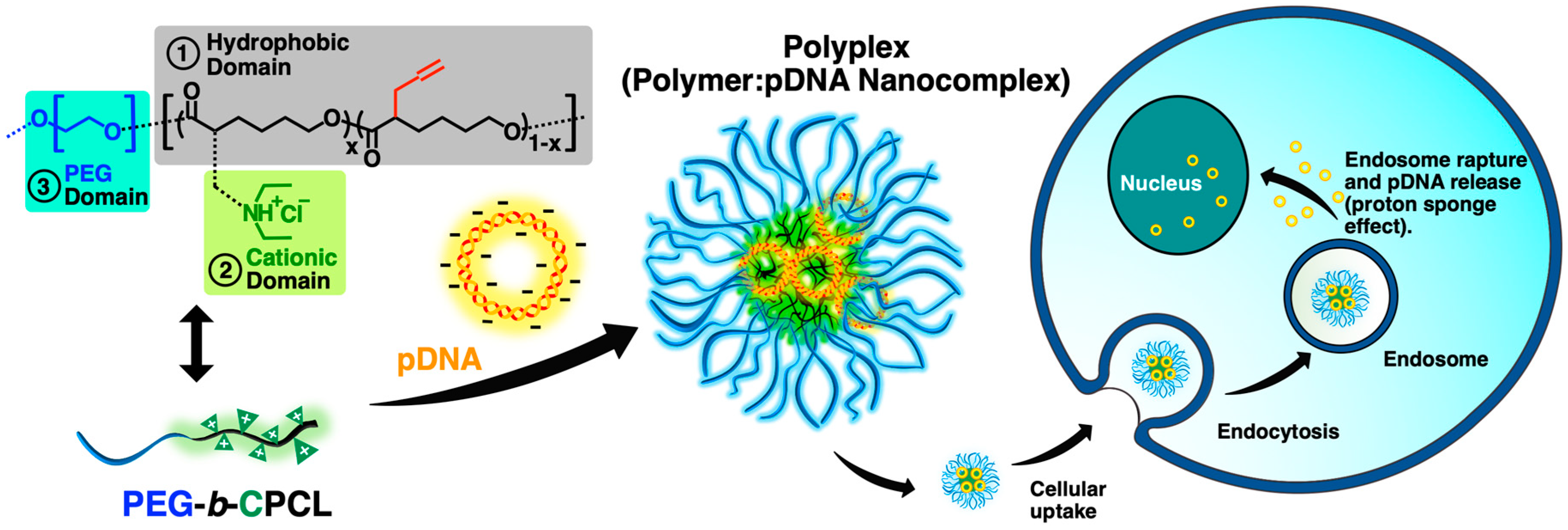 Materials 13 00898 g001