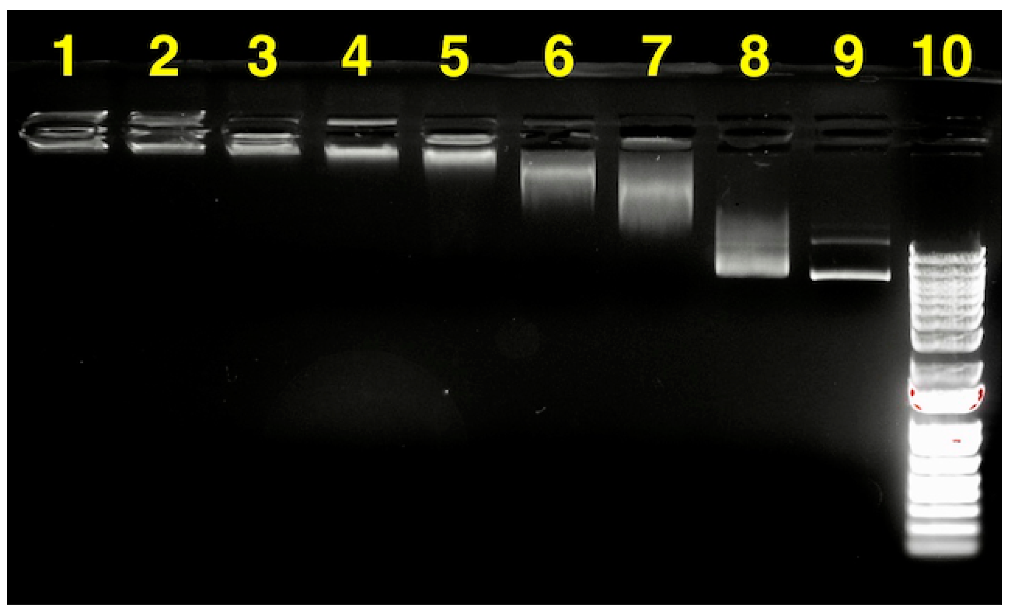 Materials 13 00898 g009