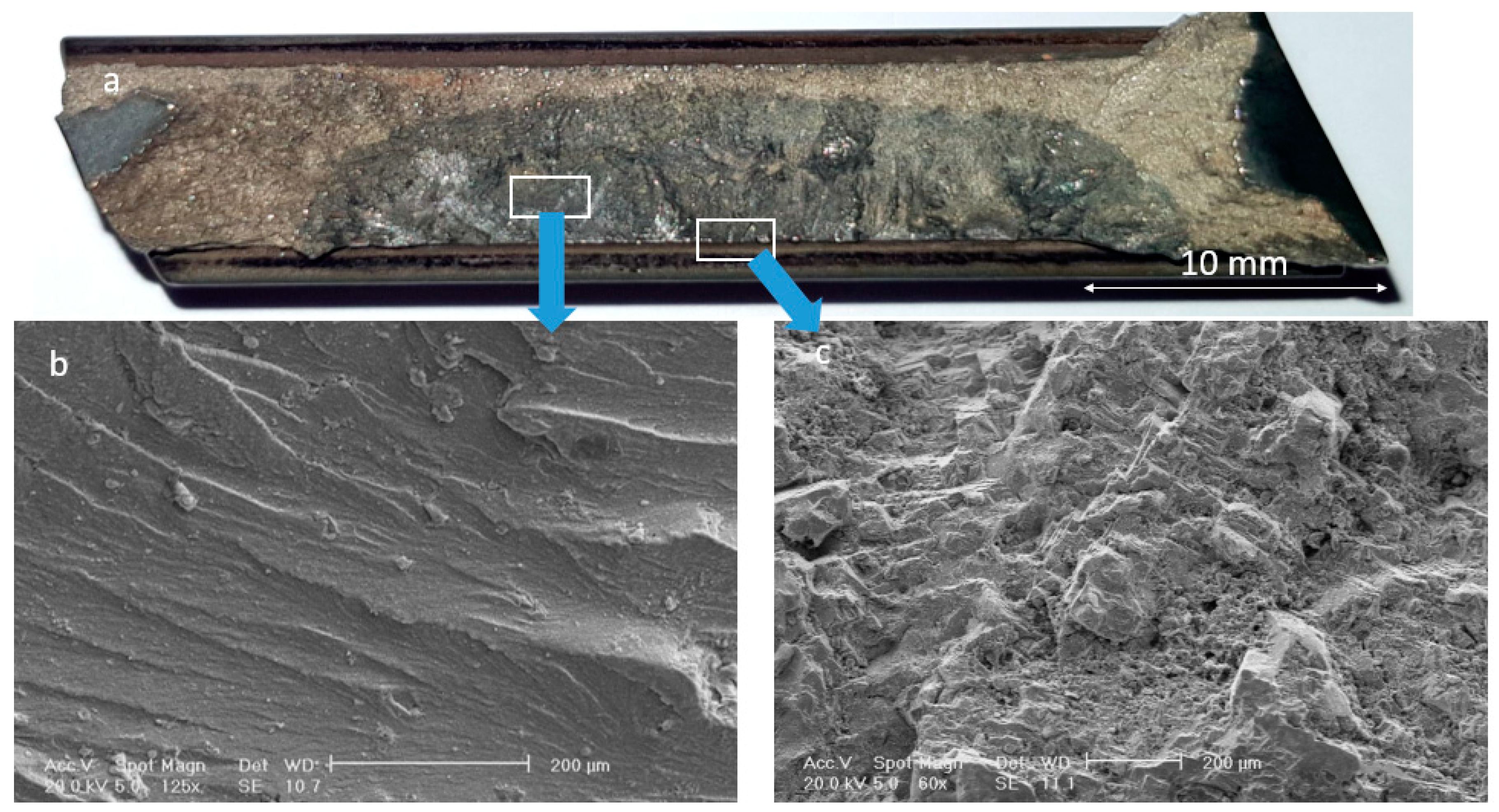 Materials 13 00900 g003 Materials 13 00900 g003