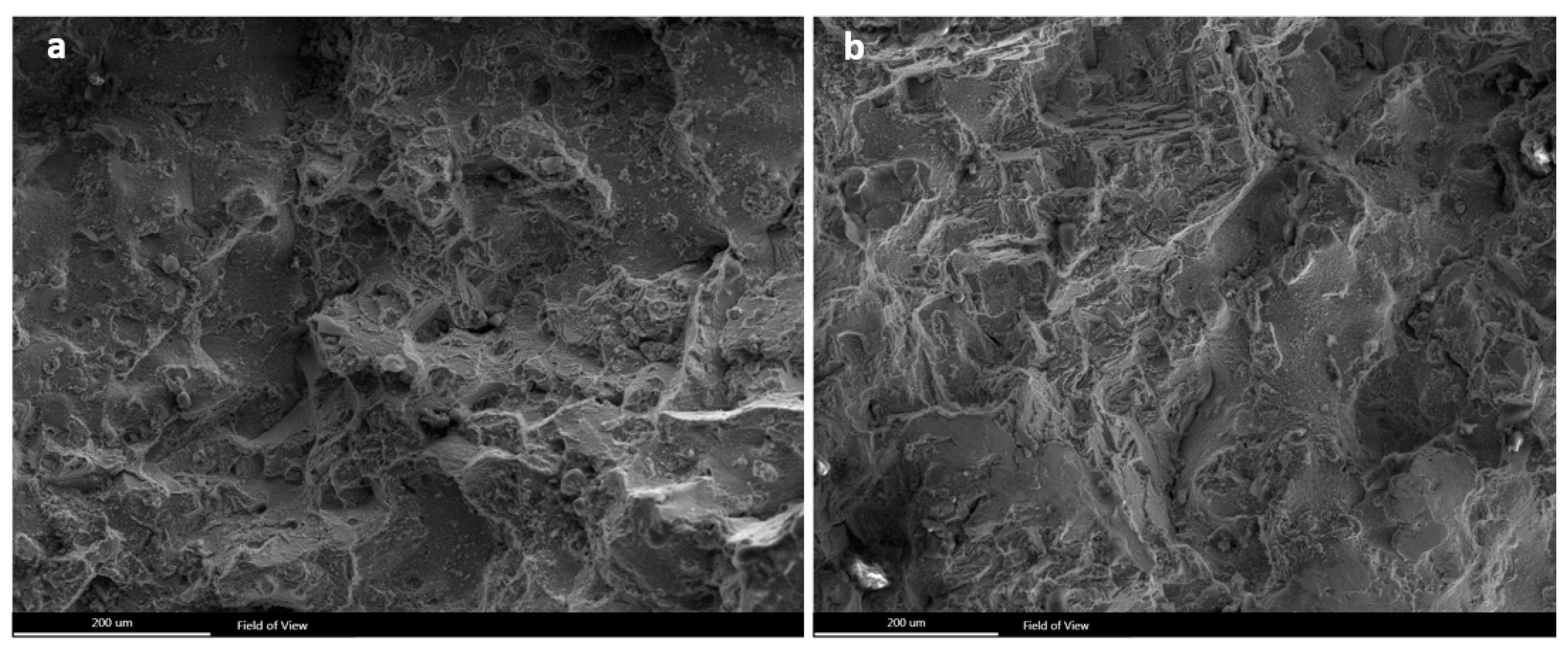 Materials 13 00900 g007 Materials 13 00900 g007