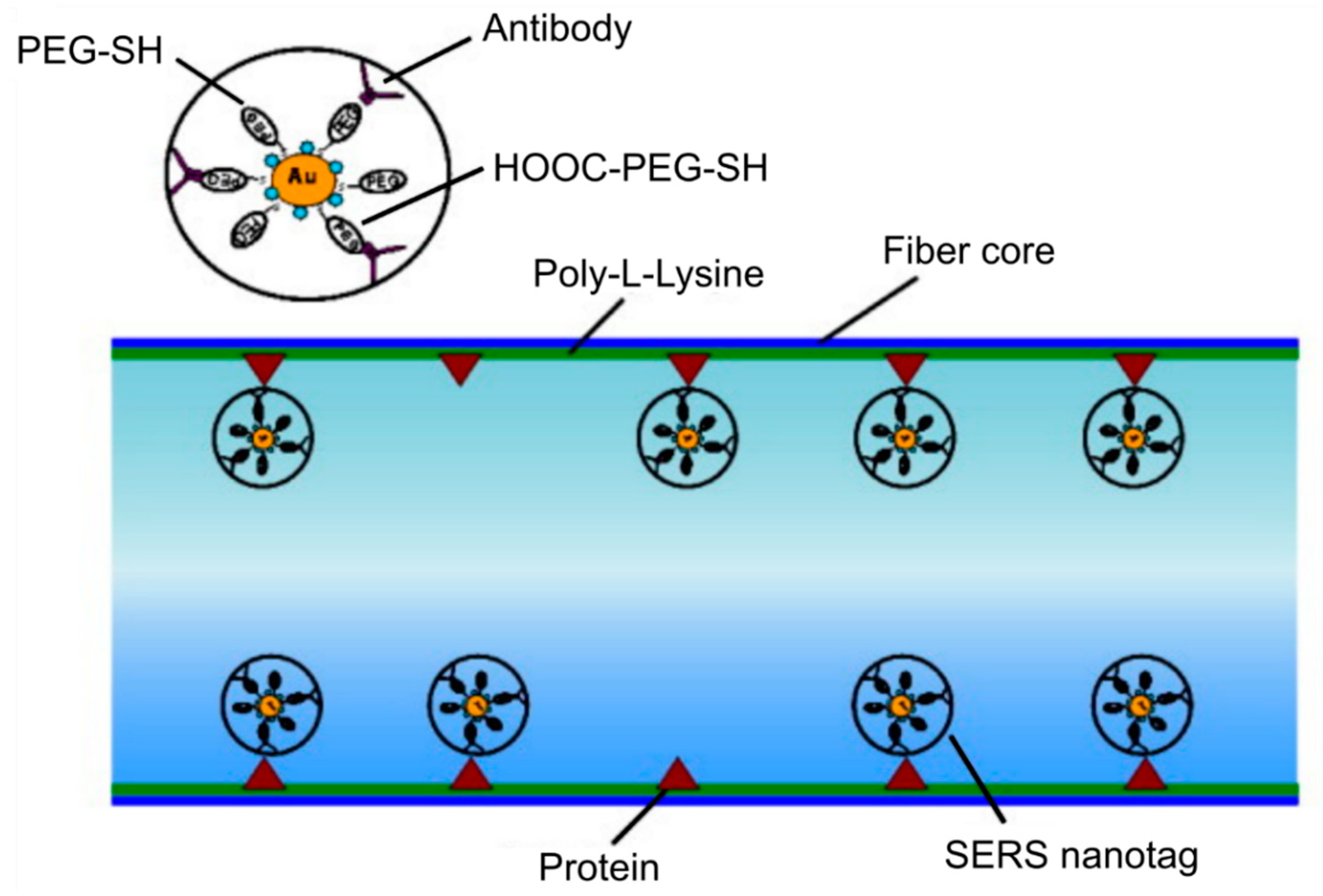 Materials 13 00921 g008