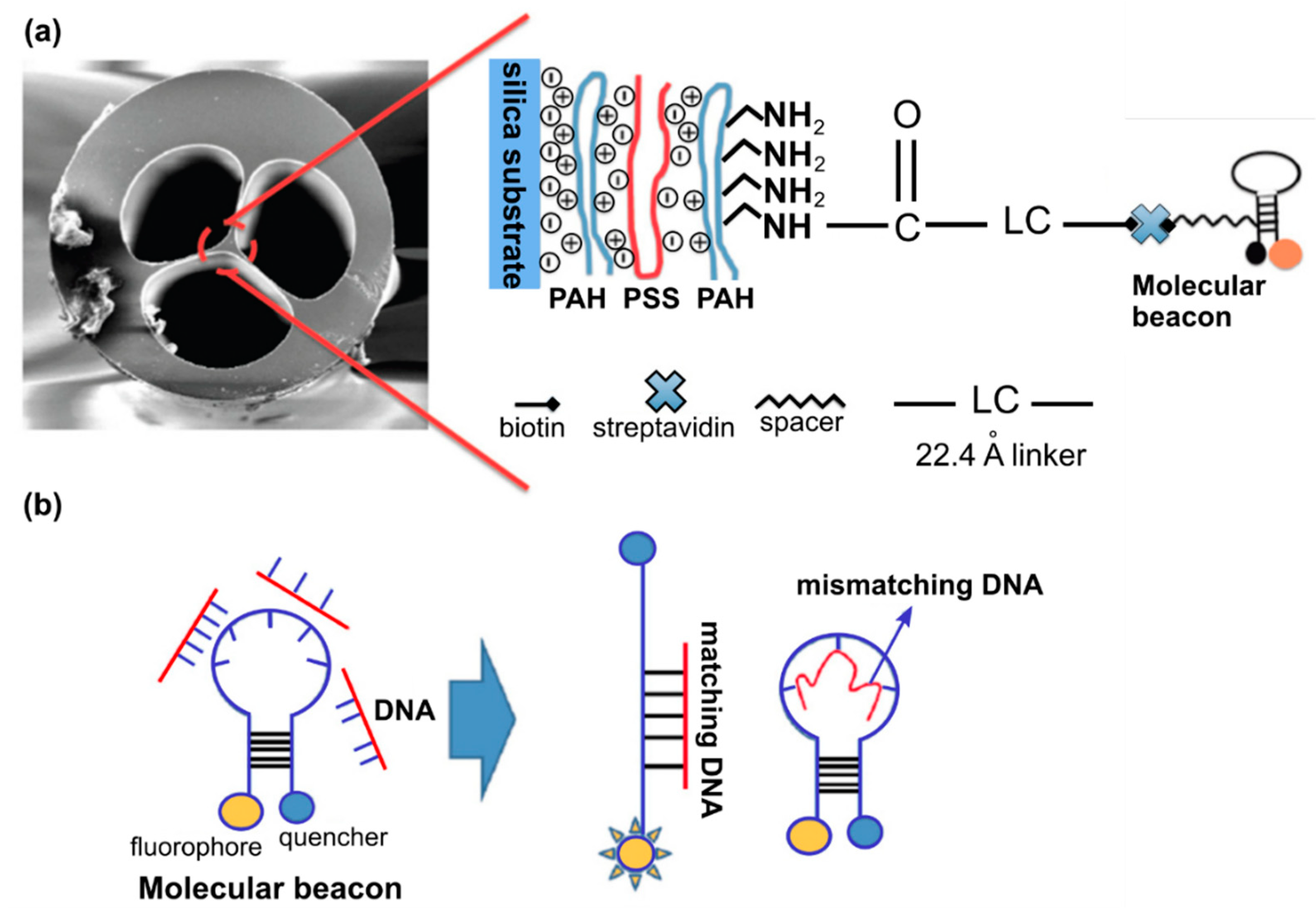 Materials 13 00921 g009