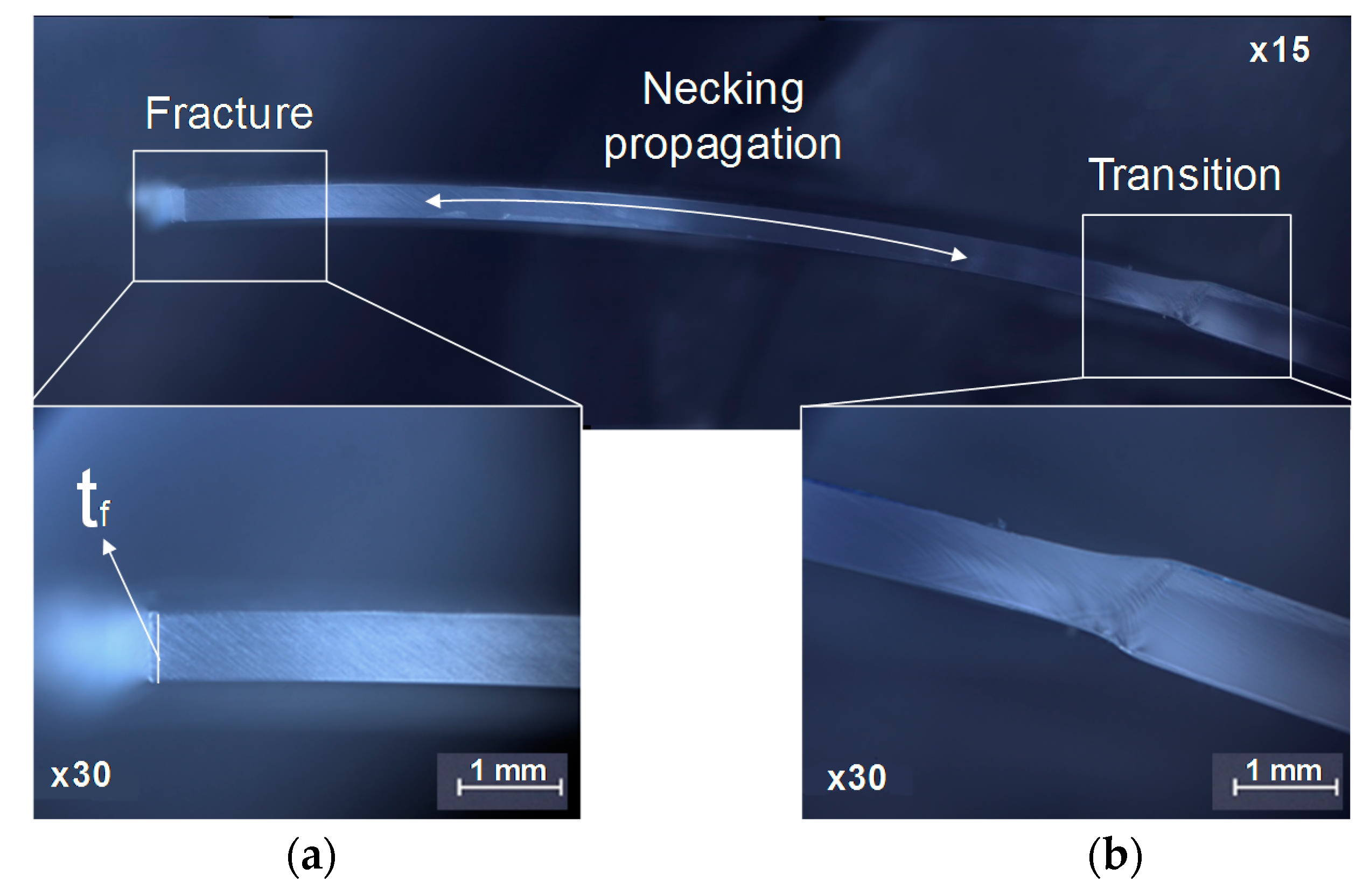 Materials 13 00928 g008