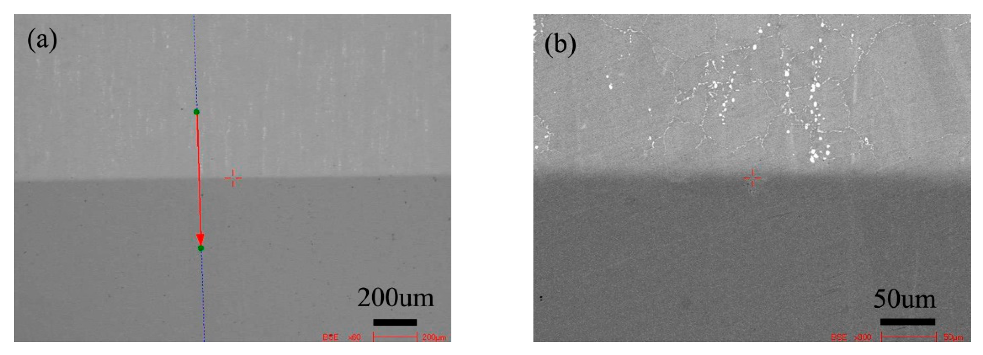 Materials 13 00959 g005 Materials 13 00959 g005