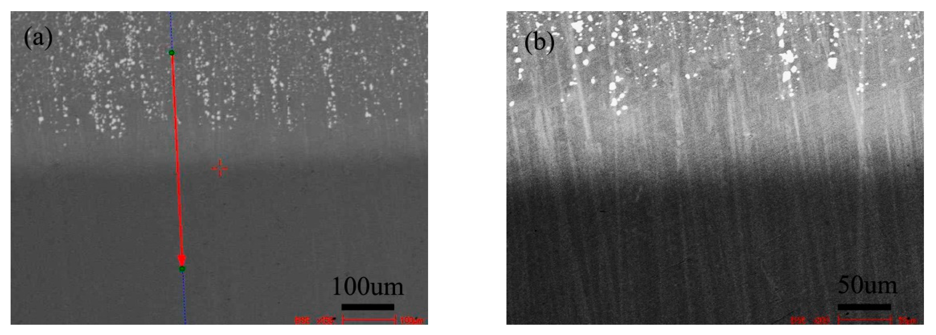 Materials 13 00959 g014 Materials 13 00959 g014
