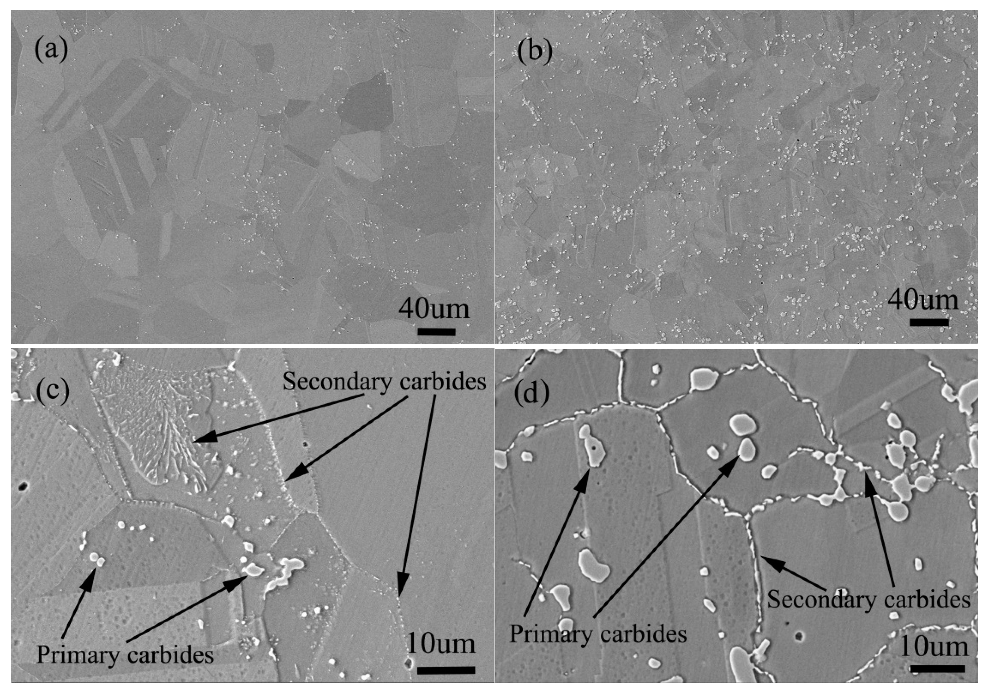 Materials 13 00959 g020 Materials 13 00959 g020