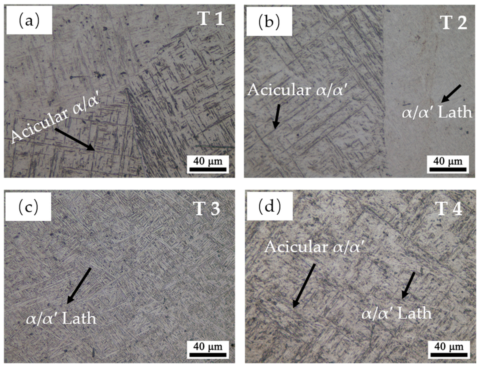 Materials 13 00962 g007