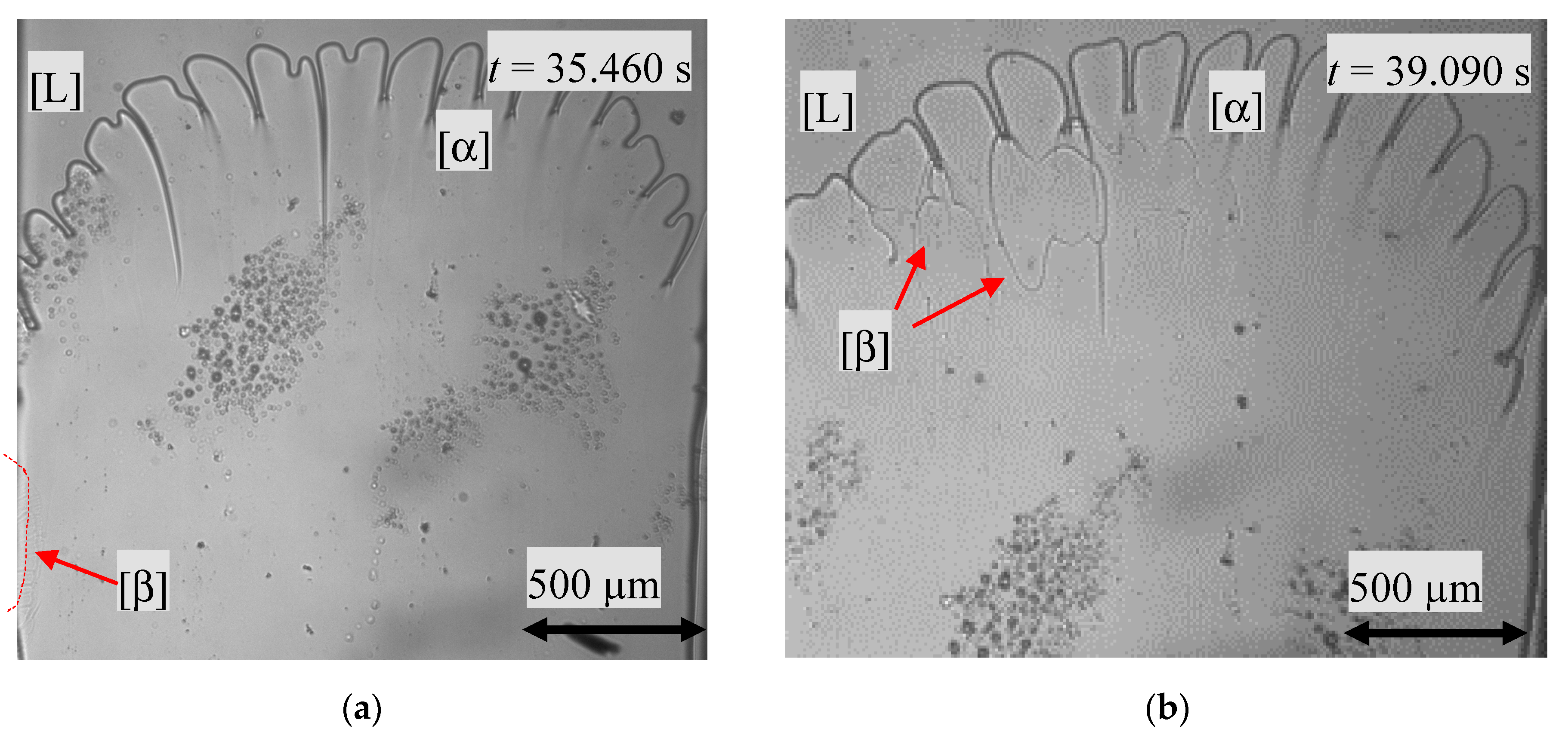 Materials 13 00966 g005