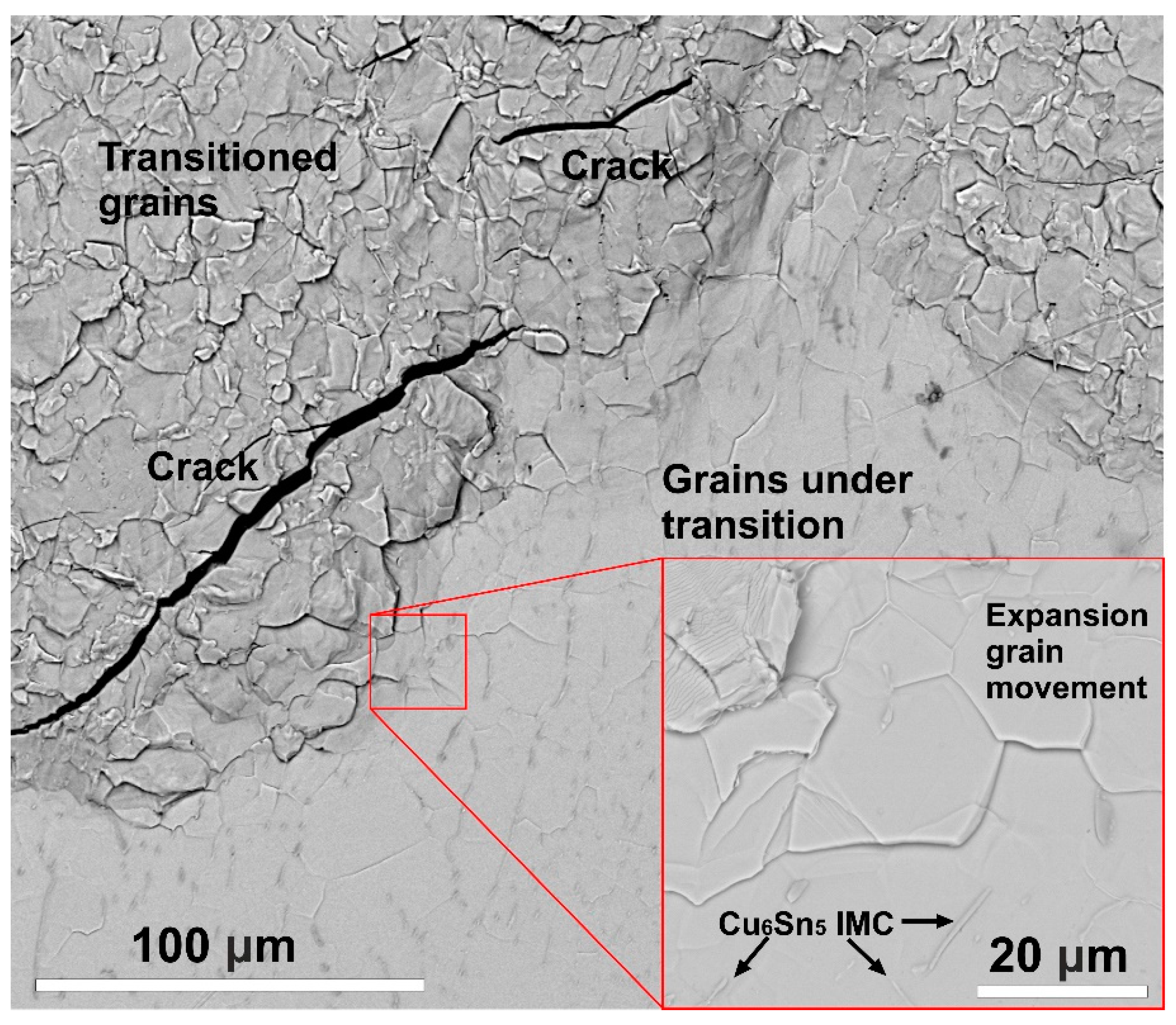 Materials 13 00968 g007 Materials 13 00968 g007