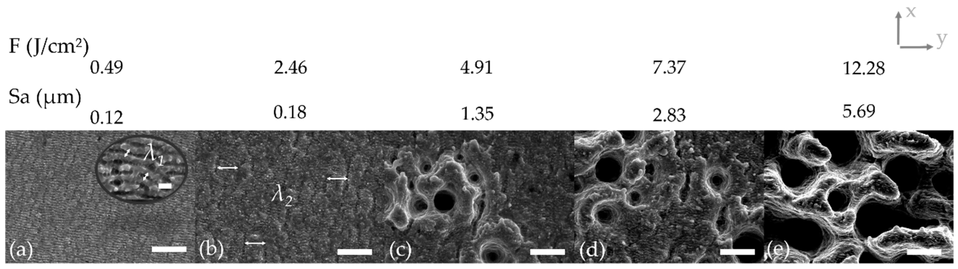 Materials 13 00969 g002