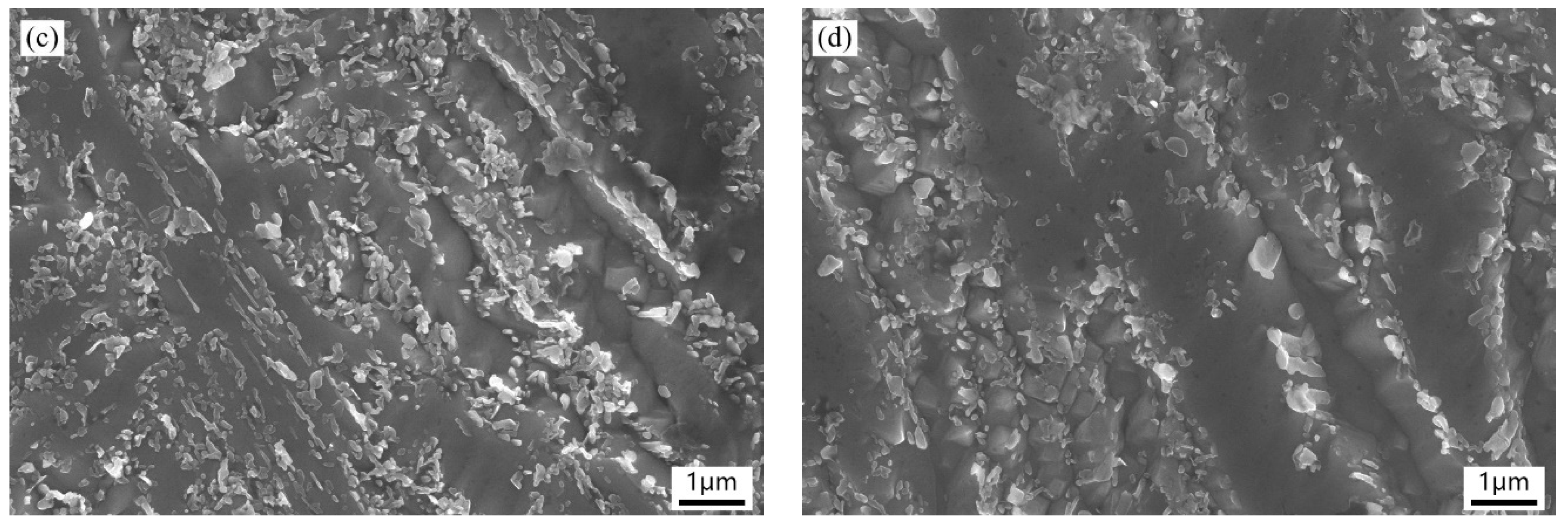 Materials 13 00972 g004b Materials 13 00972 g004b