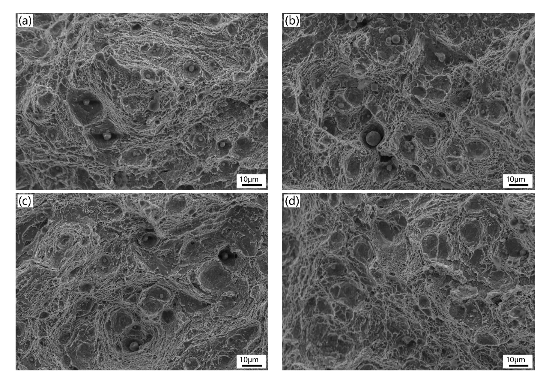 Materials 13 00972 g011 Materials 13 00972 g011