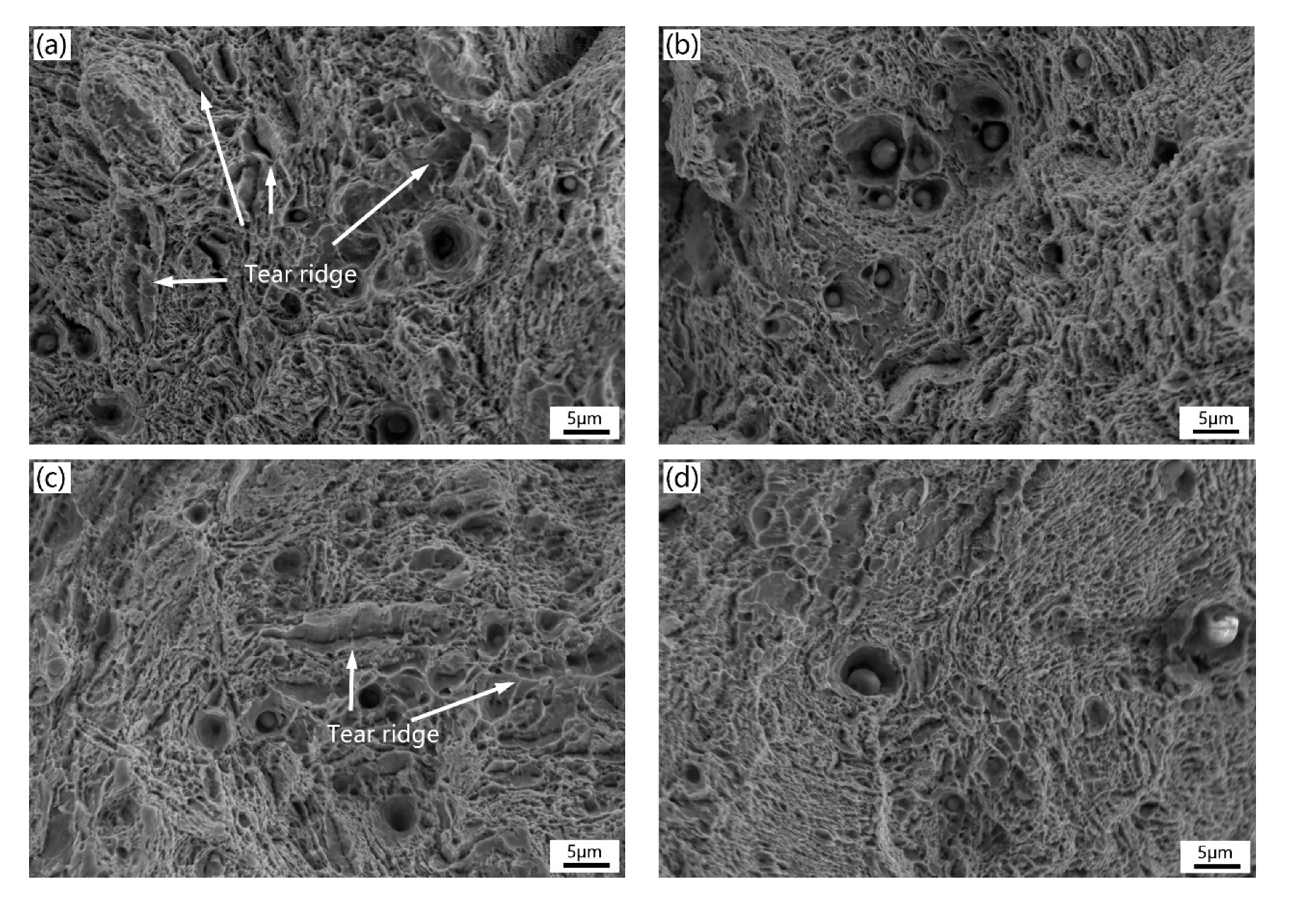 Materials 13 00972 g012 Materials 13 00972 g012