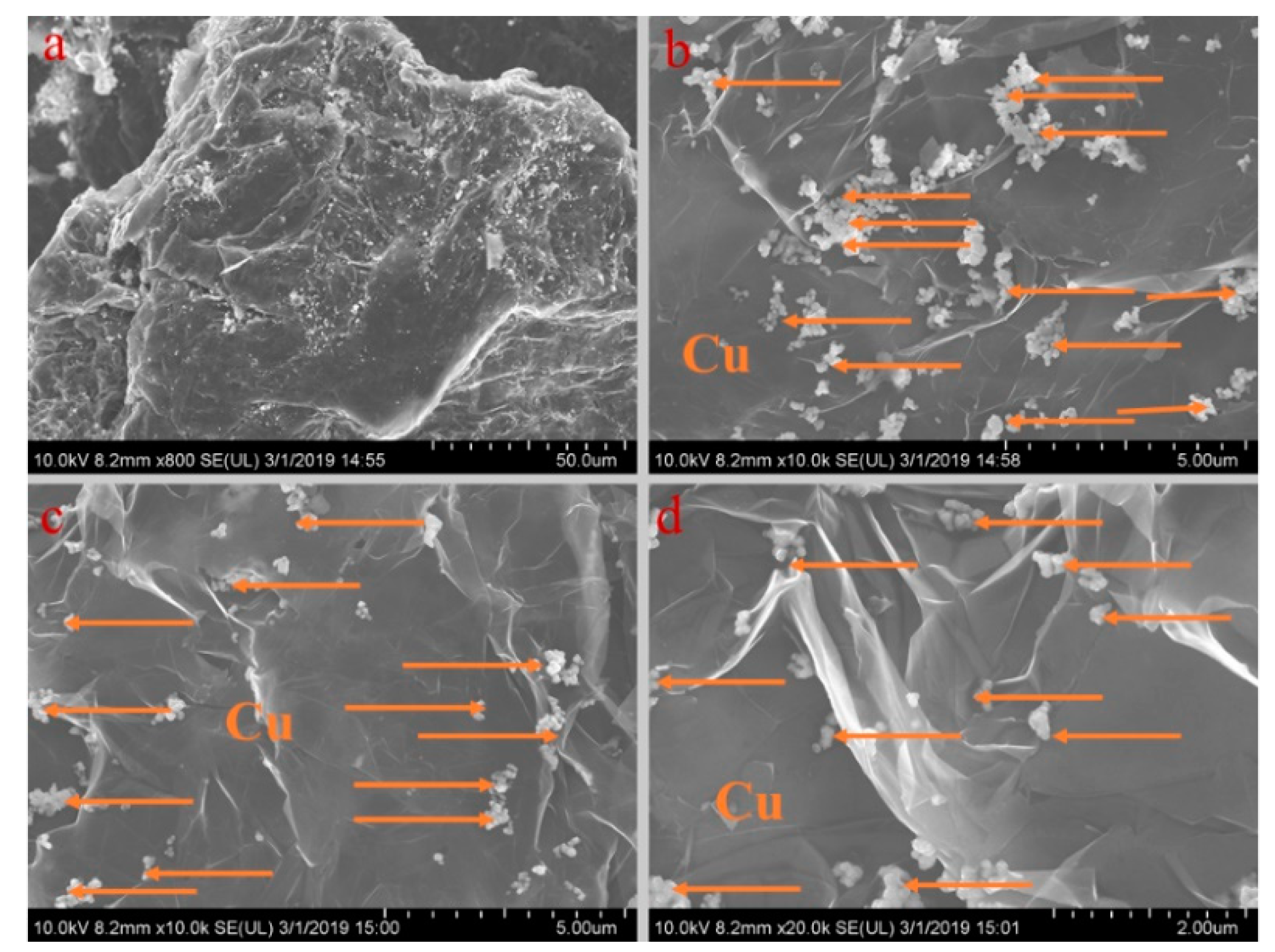 Materials 13 00980 g006 Materials 13 00980 g006