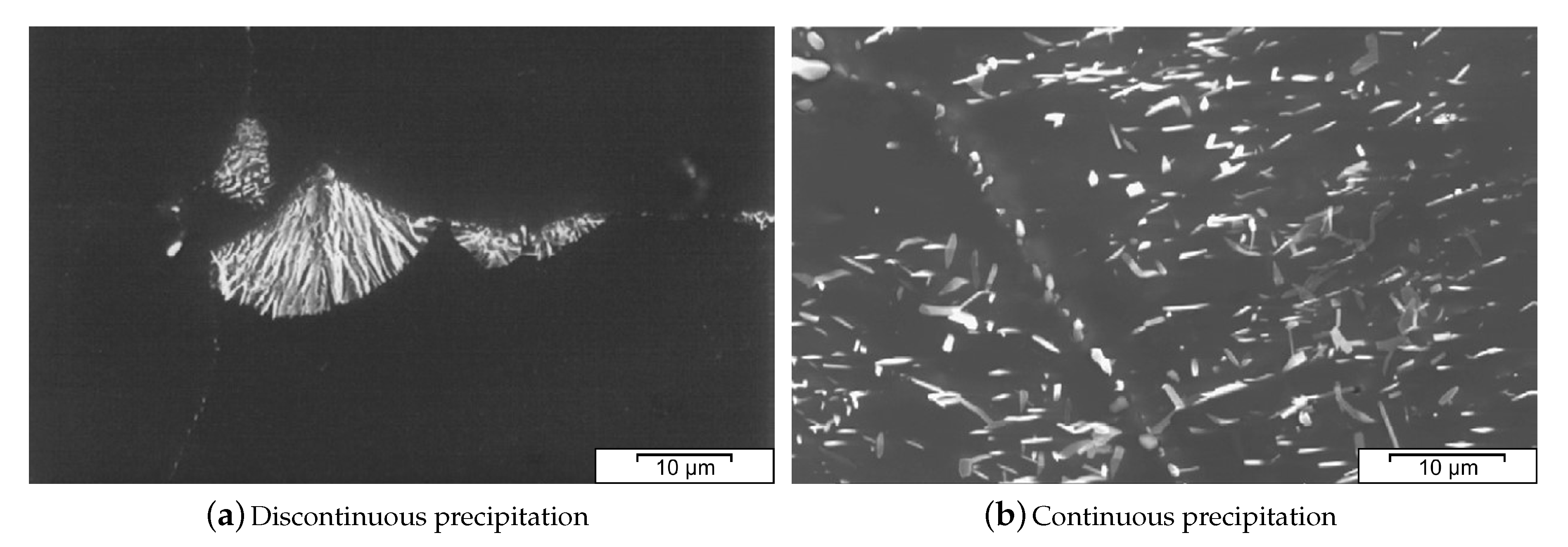 Materials 13 00985 g007