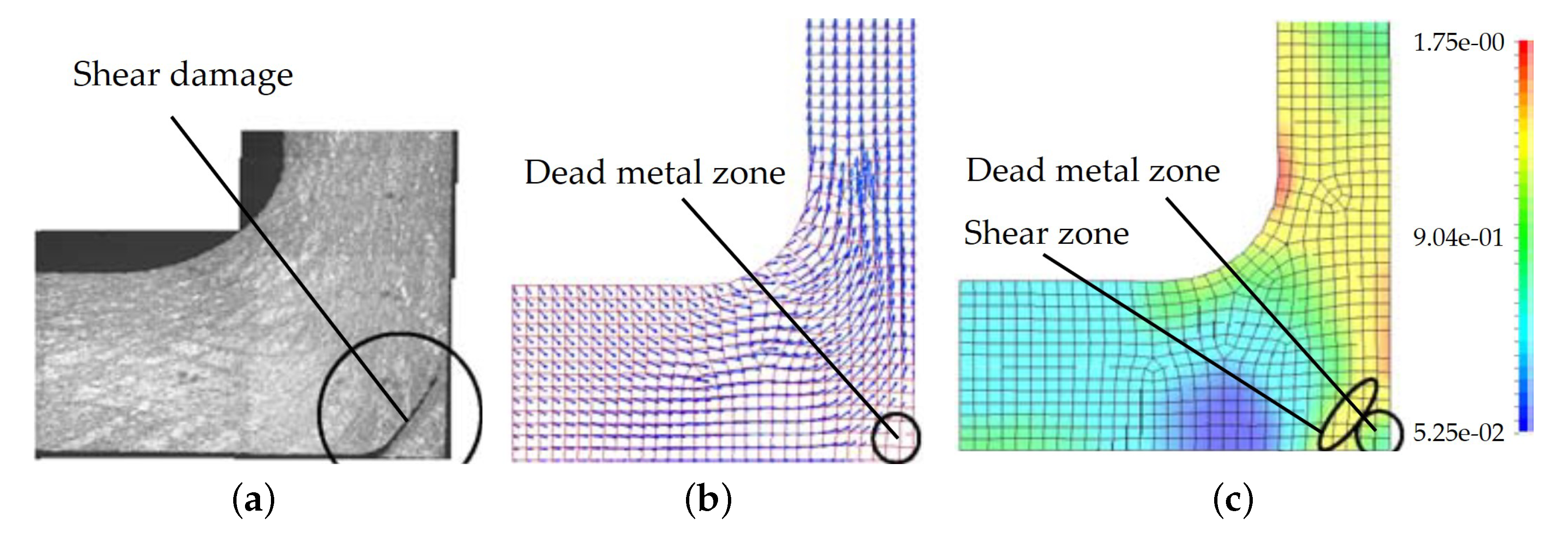 Materials 13 00985 g010