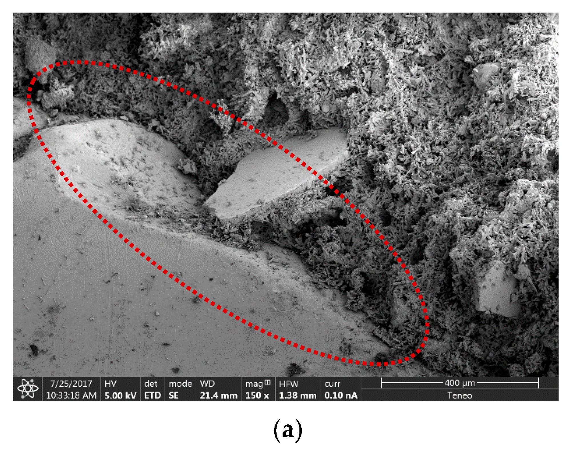 Materials 13 00989 g007a