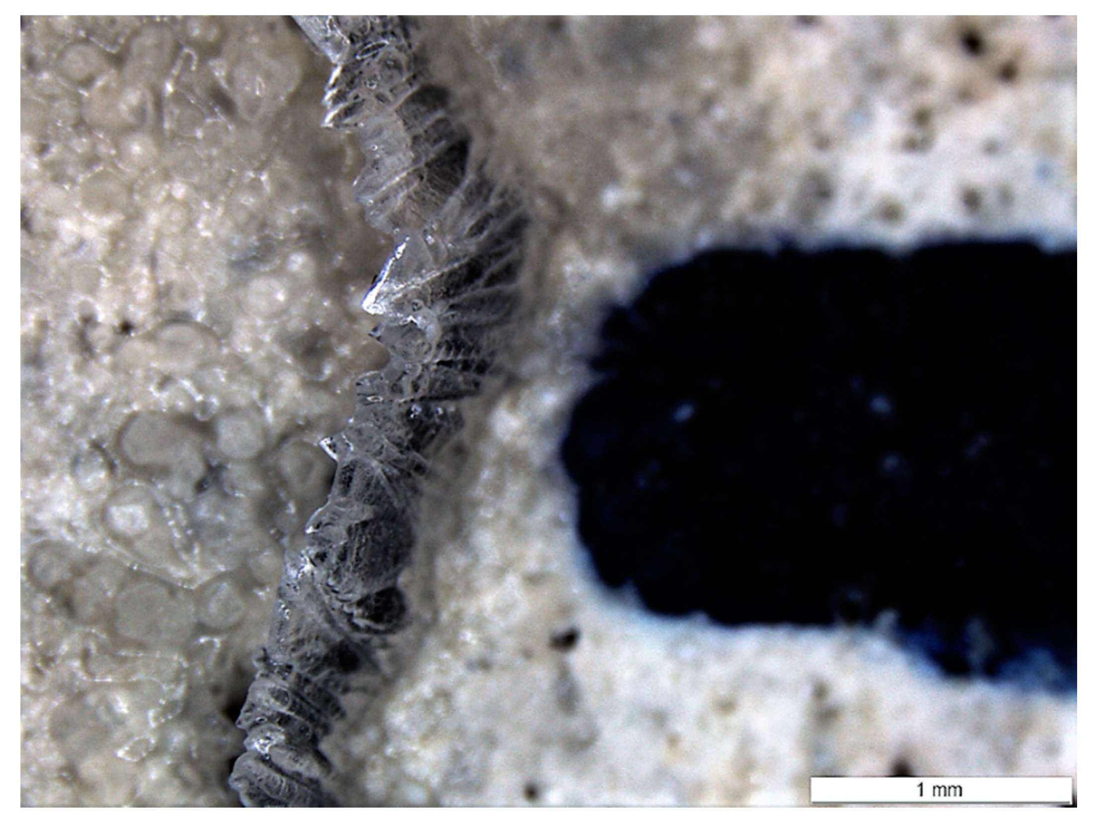 Materials 13 00997 g013 Materials 13 00997 g013