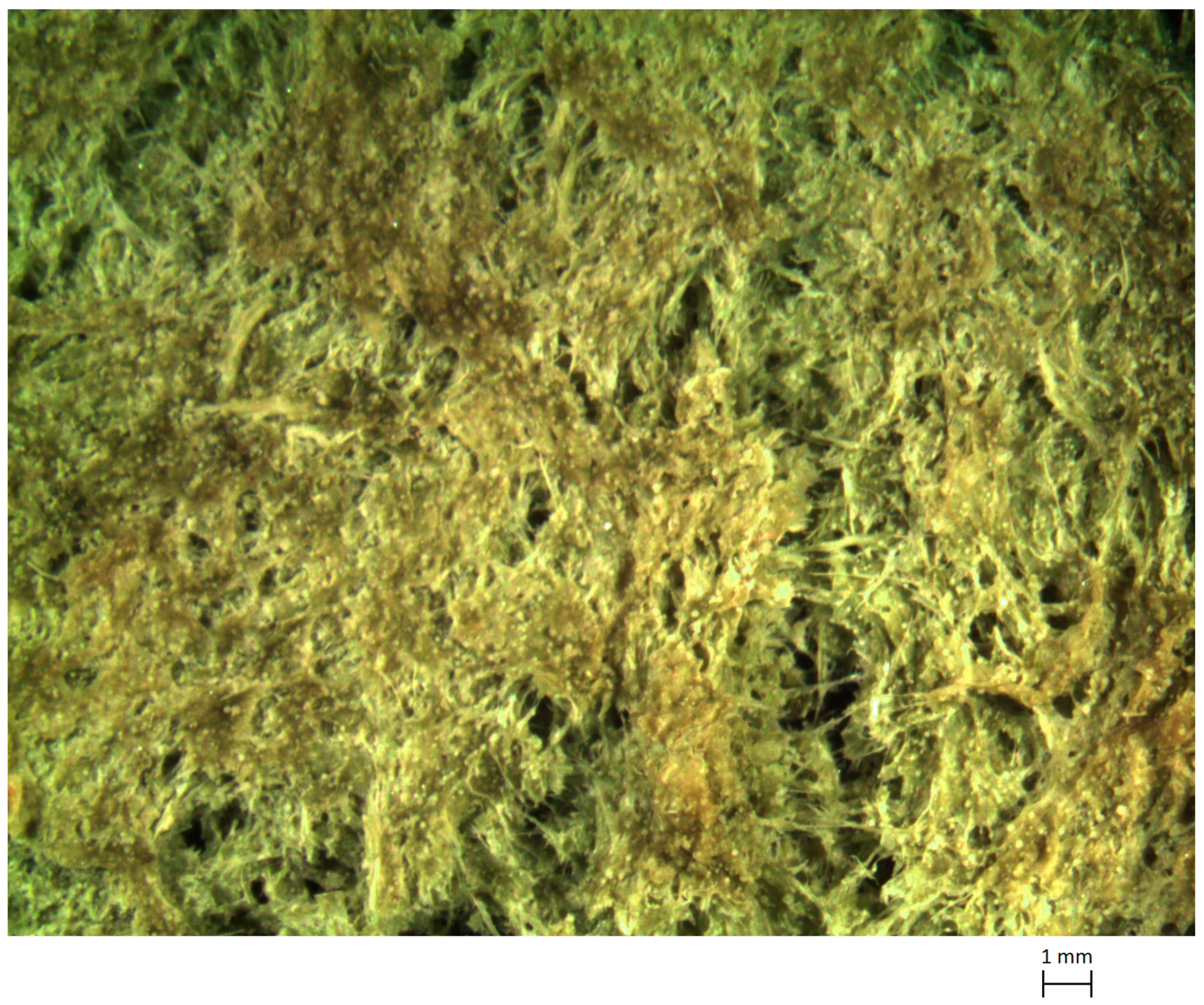 Materials 13 01000 g003