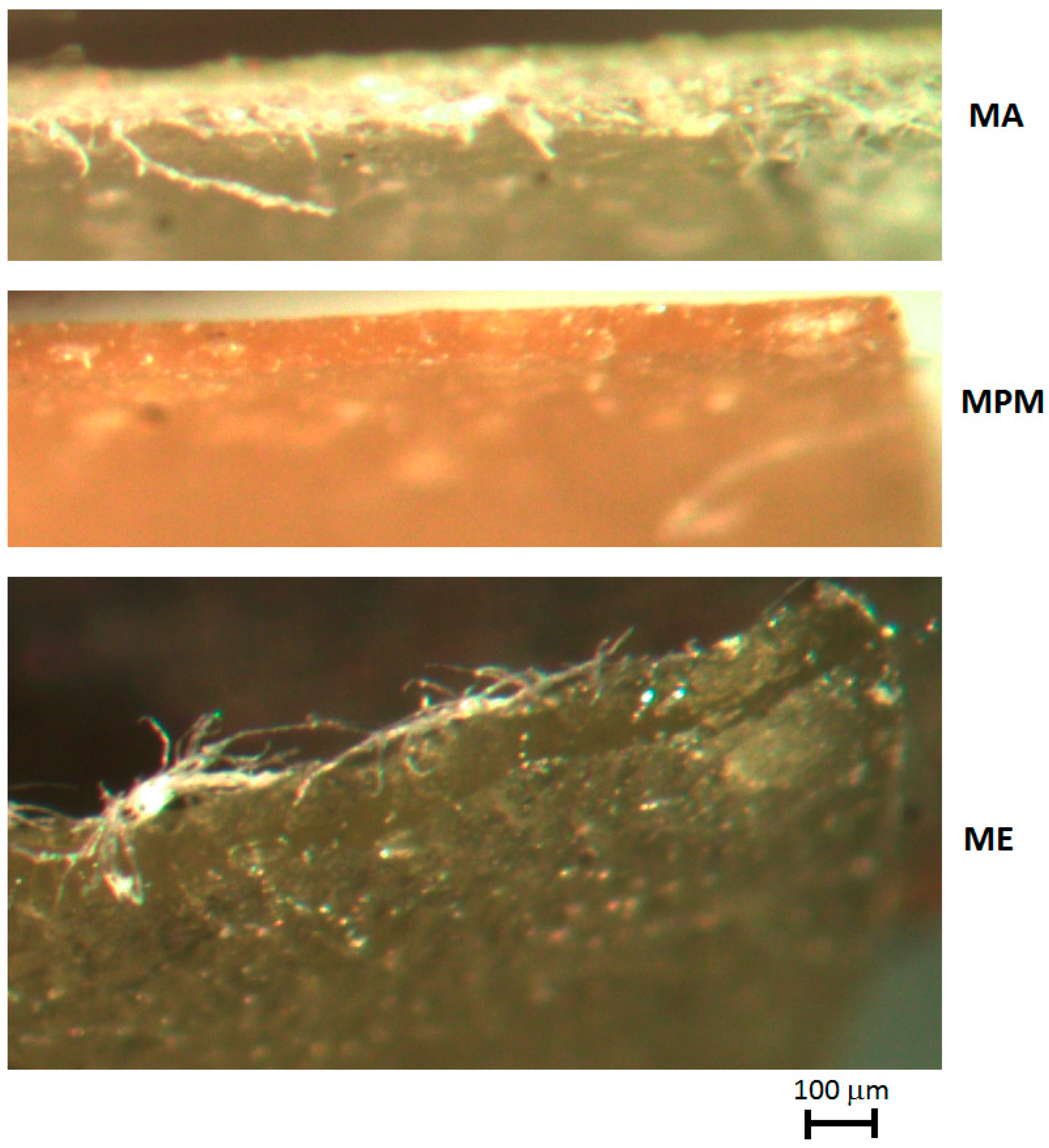 Materials 13 01000 g009