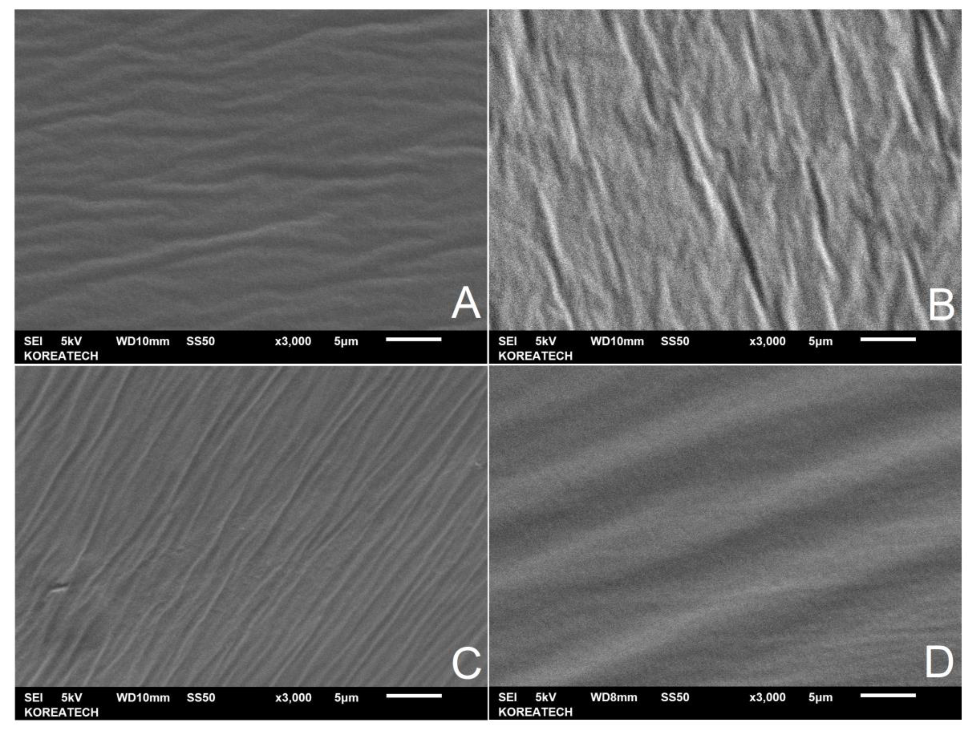 Materials 13 01002 g004 Materials 13 01002 g004