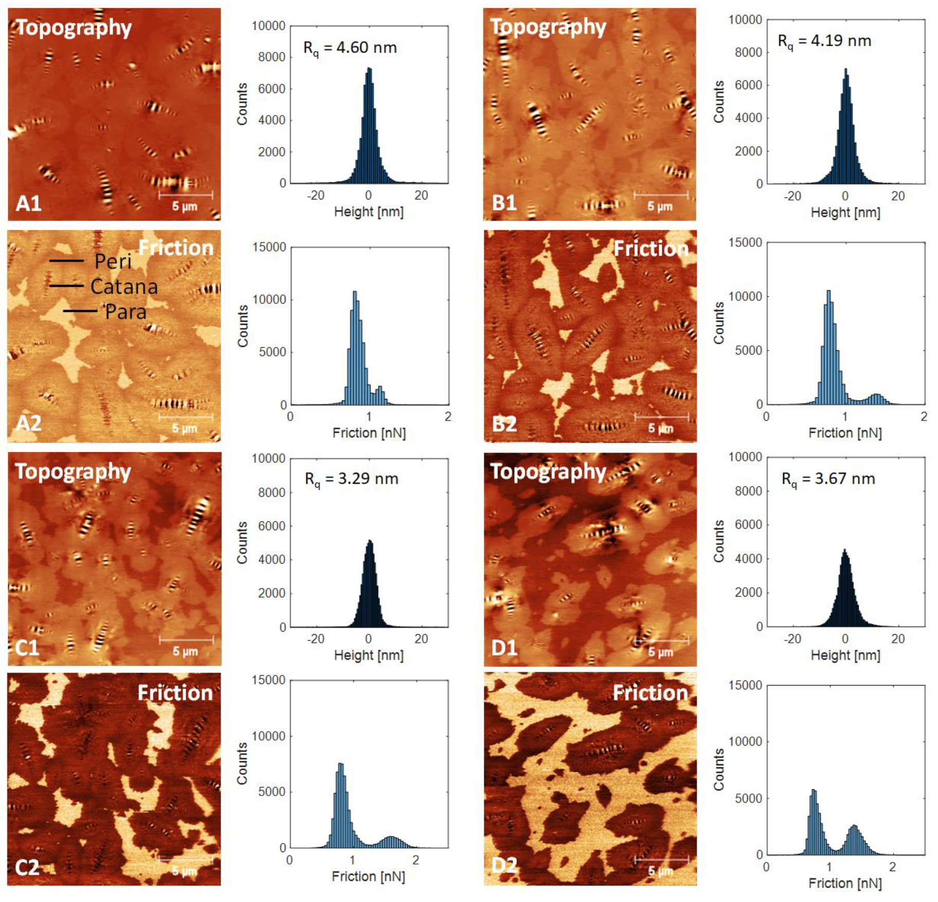 Materials 13 01002 g005 Materials 13 01002 g005