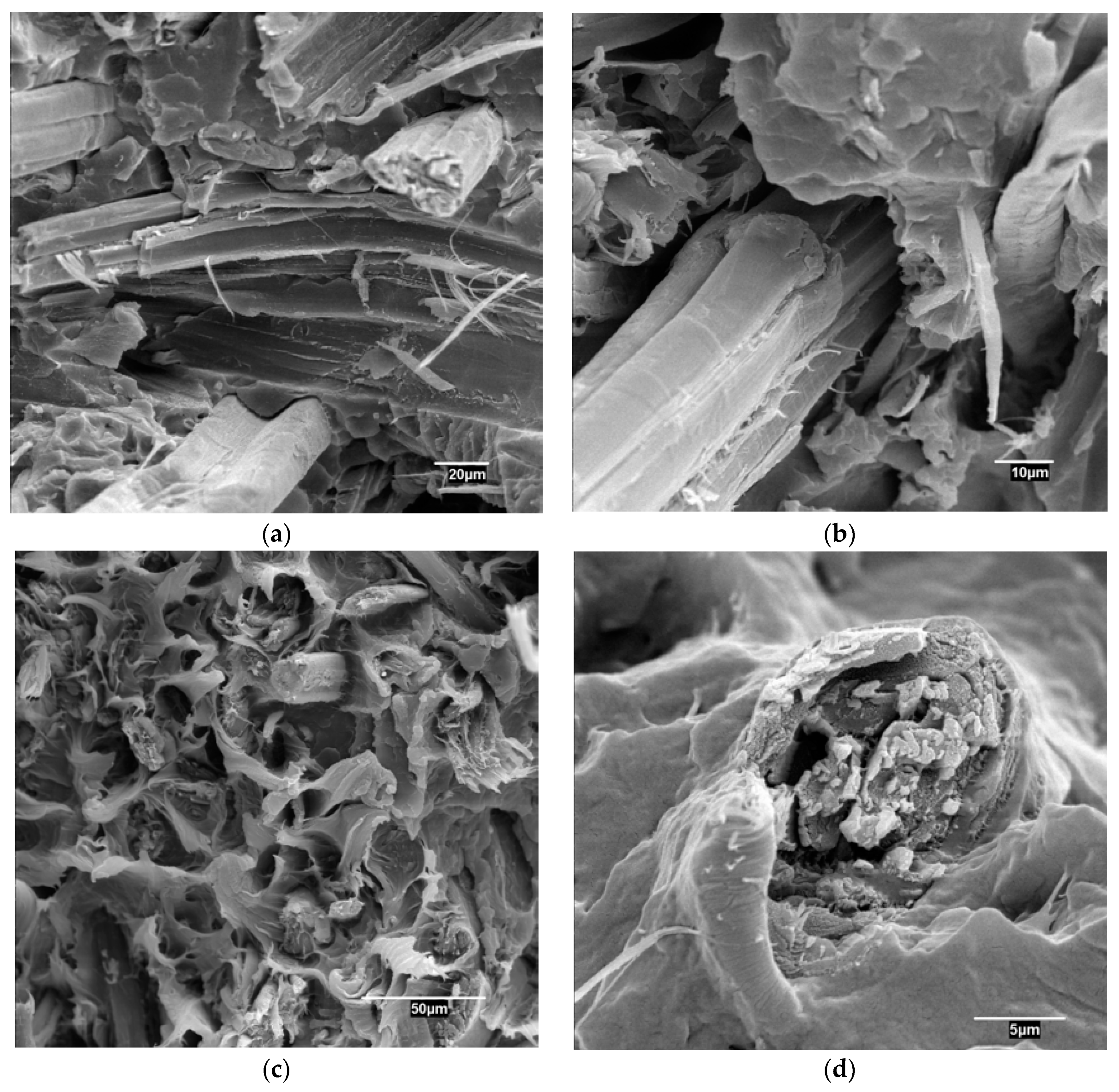 Materials 13 01012 g002