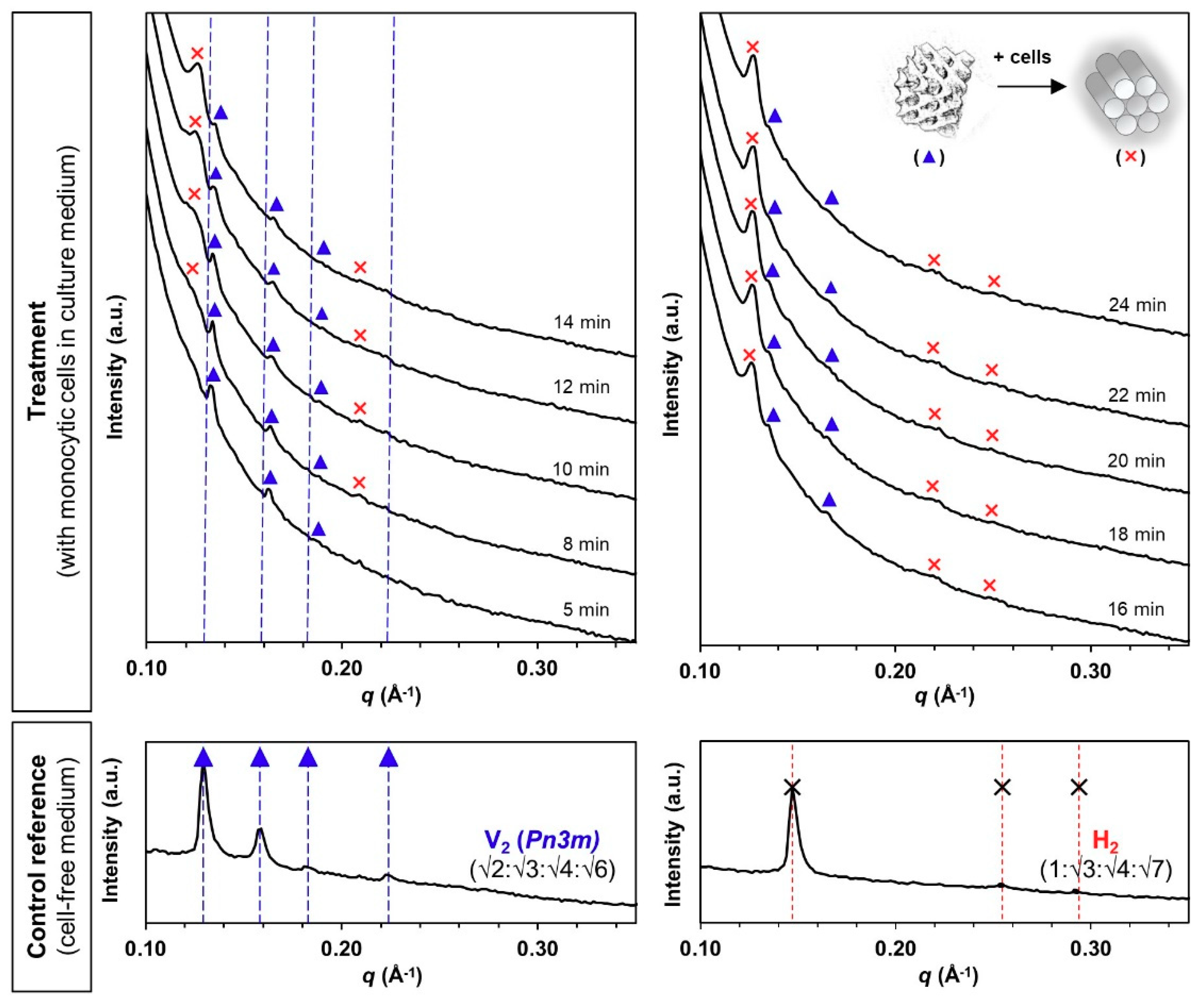 Materials 13 01013 g004