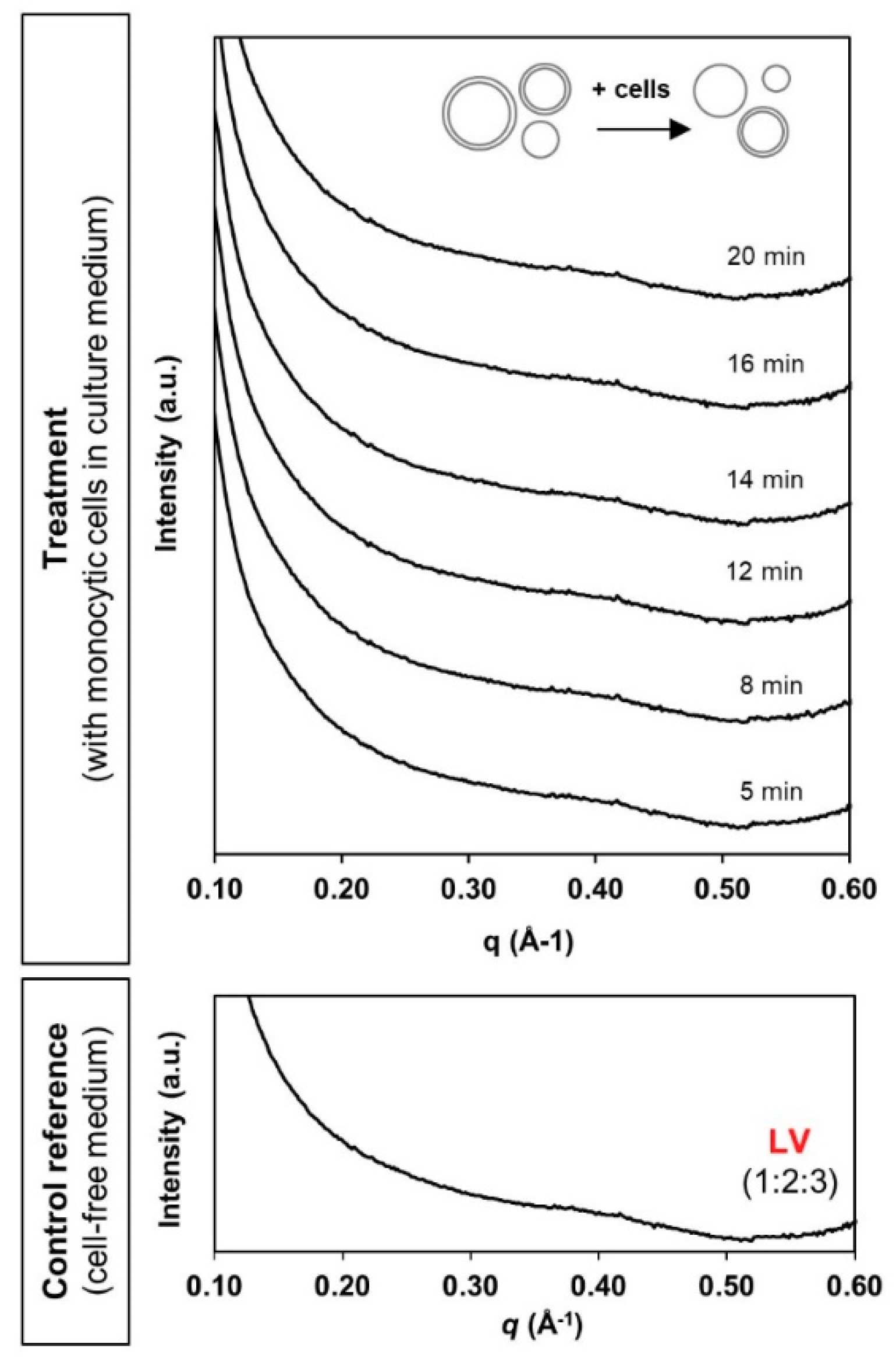 Materials 13 01013 g006