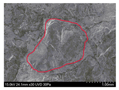 Materials 13 01024 i001 Materials 13 01024 i001