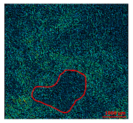 Materials 13 01024 i003 Materials 13 01024 i003