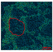 Materials 13 01024 i006 Materials 13 01024 i006